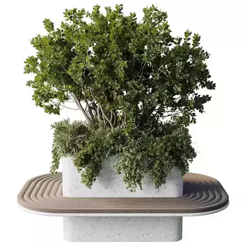 office bench and Interior home - Indoor plant set 513