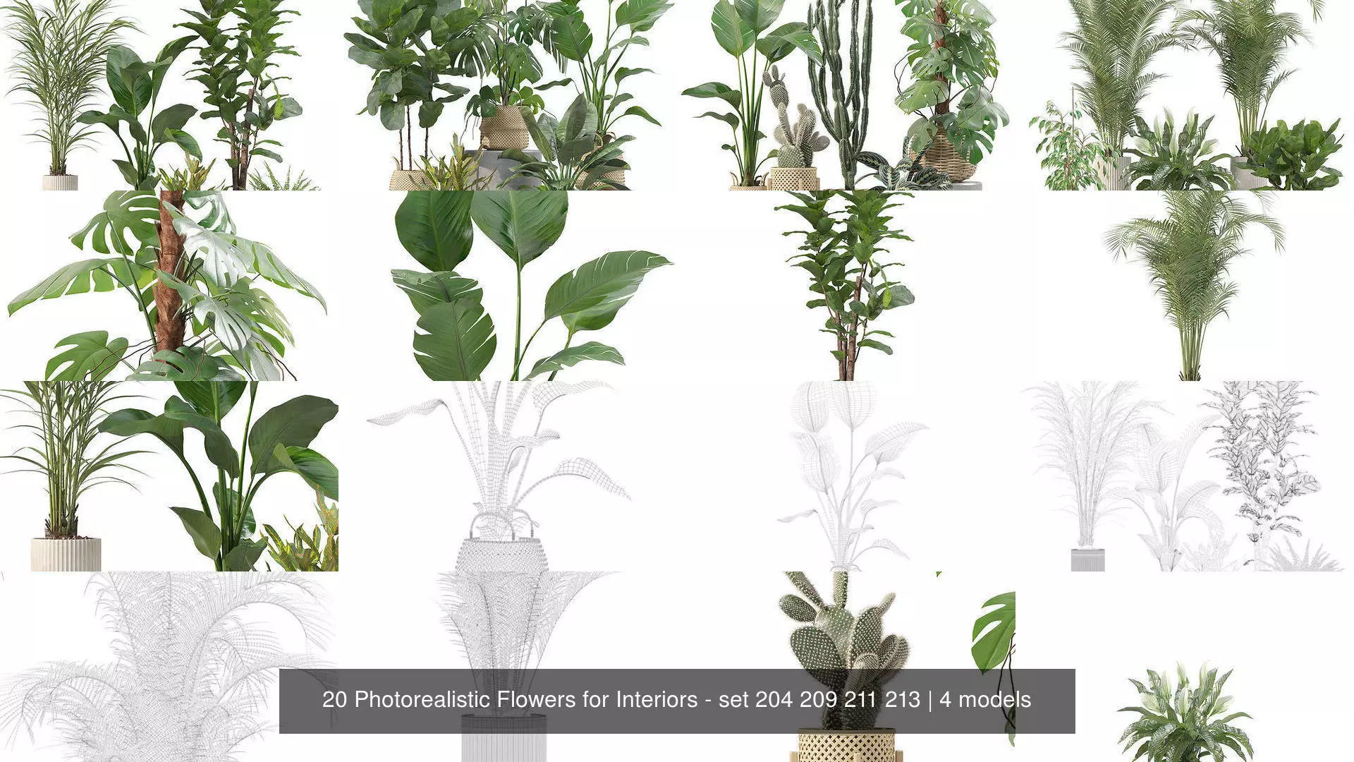 20 Photorealistic Flowers for Interiors - set 204 209 211 213 3D Model Collection_1