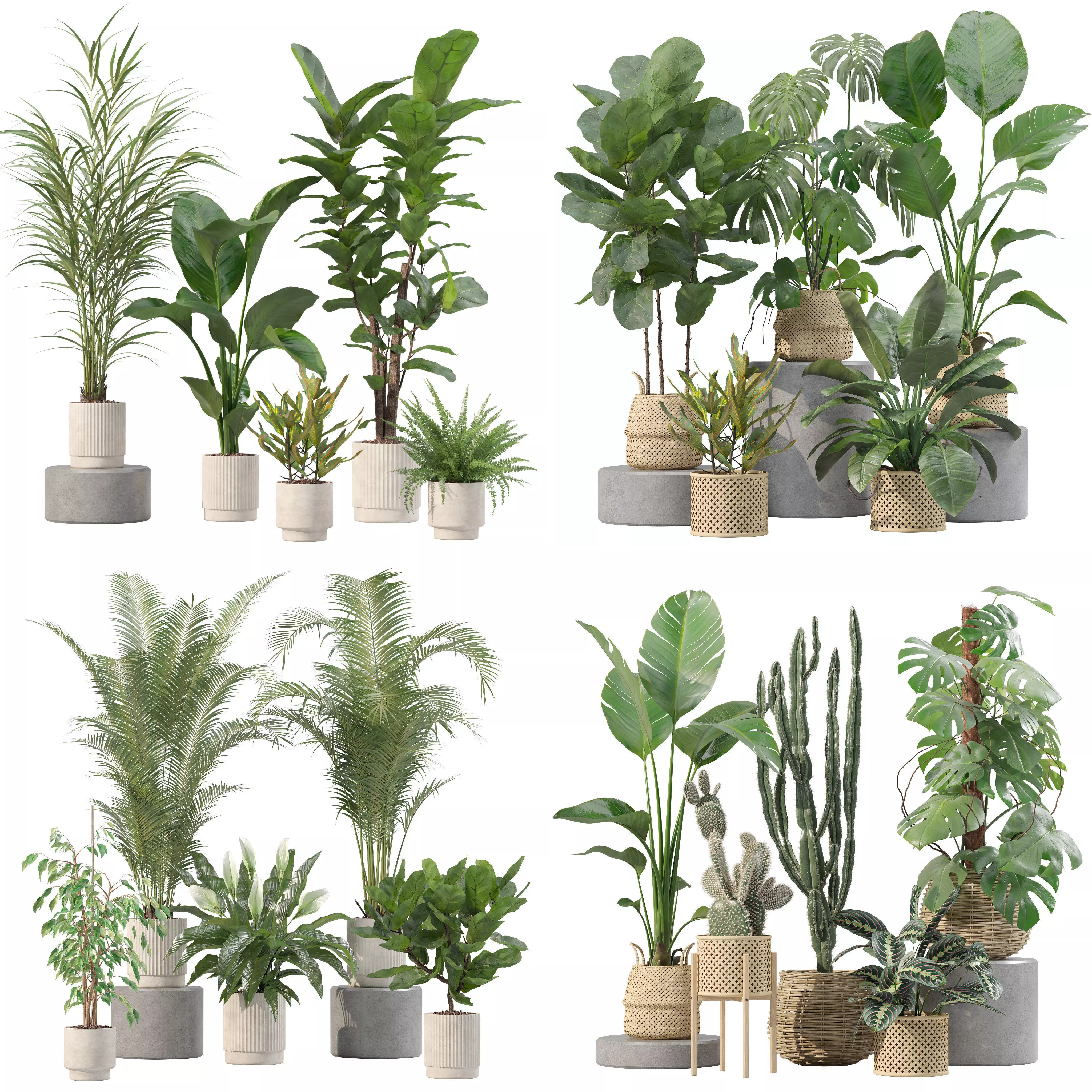 20 Photorealistic Flowers for Interiors - set 204 209 211 213 3D Model Collection_0