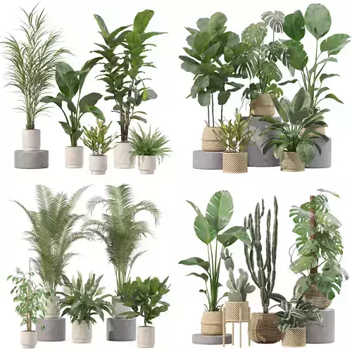 20 Photorealistic Flowers for Interiors - set 204 209 211 213 3D Model Collection
