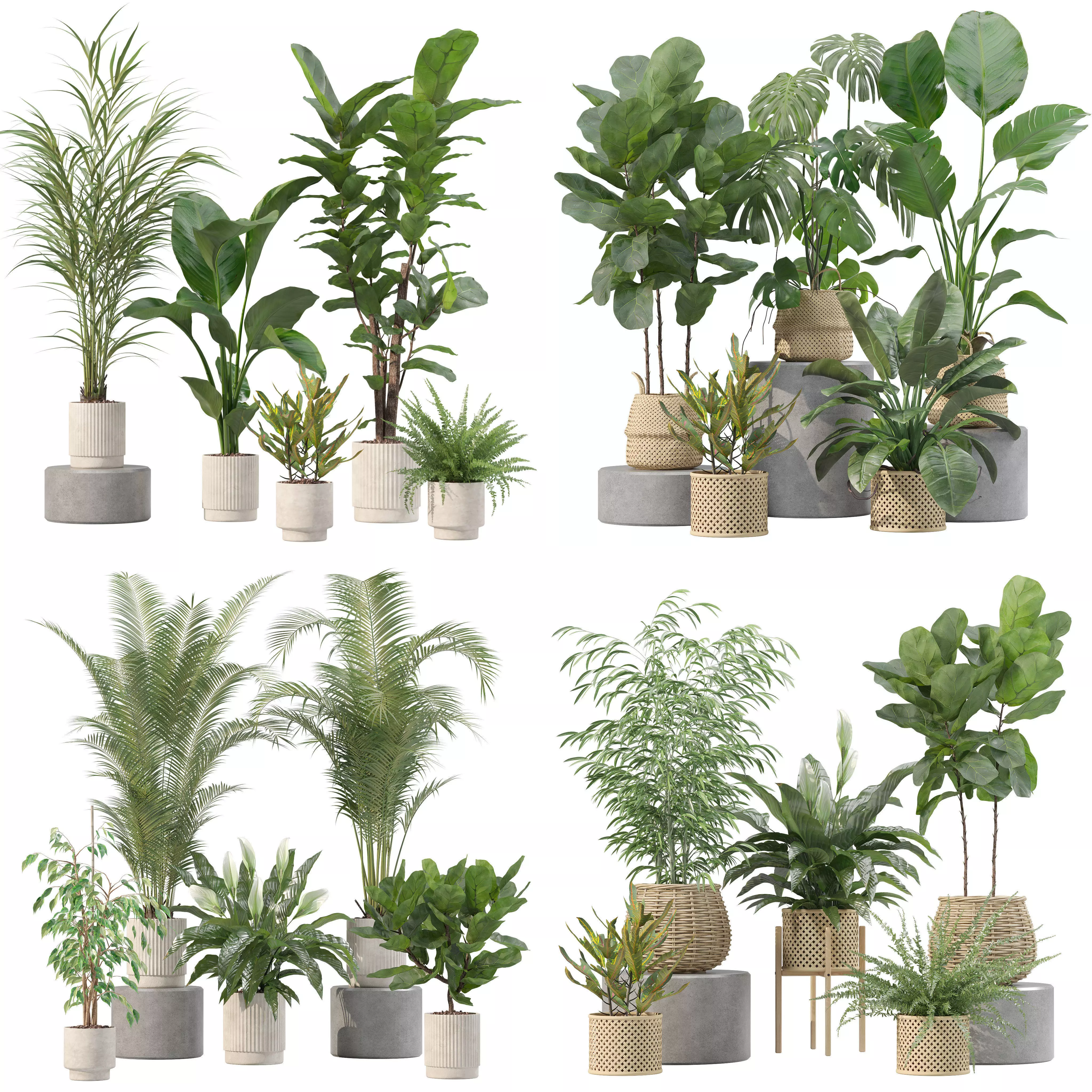 20 Photorealistic Flowers for Interiors - set 204 209 213 214 3D Model Collection_0