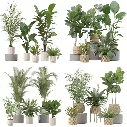 20 Photorealistic Flowers for Interiors - set 204 209 213 214 3D Model Collection