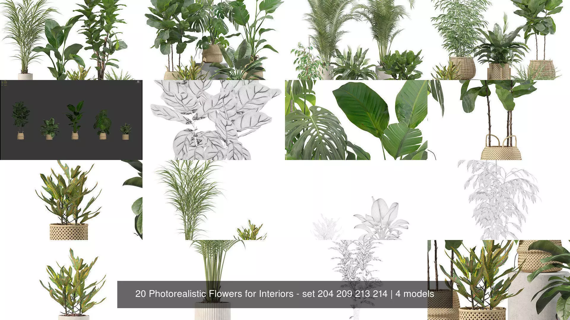 20 Photorealistic Flowers for Interiors - set 204 209 213 214 3D Model Collection_1