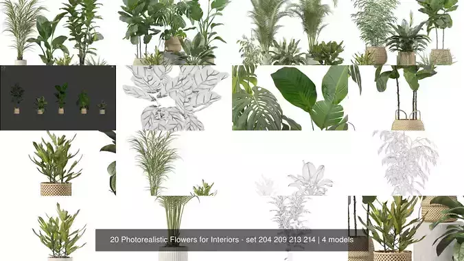 20 Photorealistic Flowers for Interiors - set 204 209 213 214