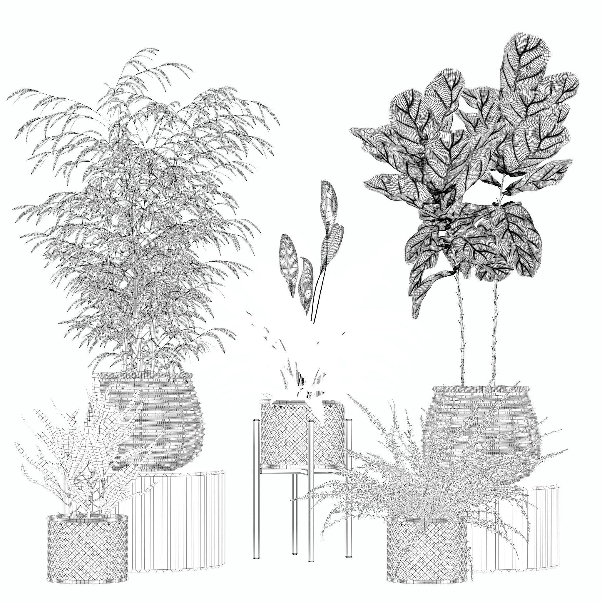 20 Photorealistic Flowers for Interiors - set 204 211 213 219 3D Model Collection_13