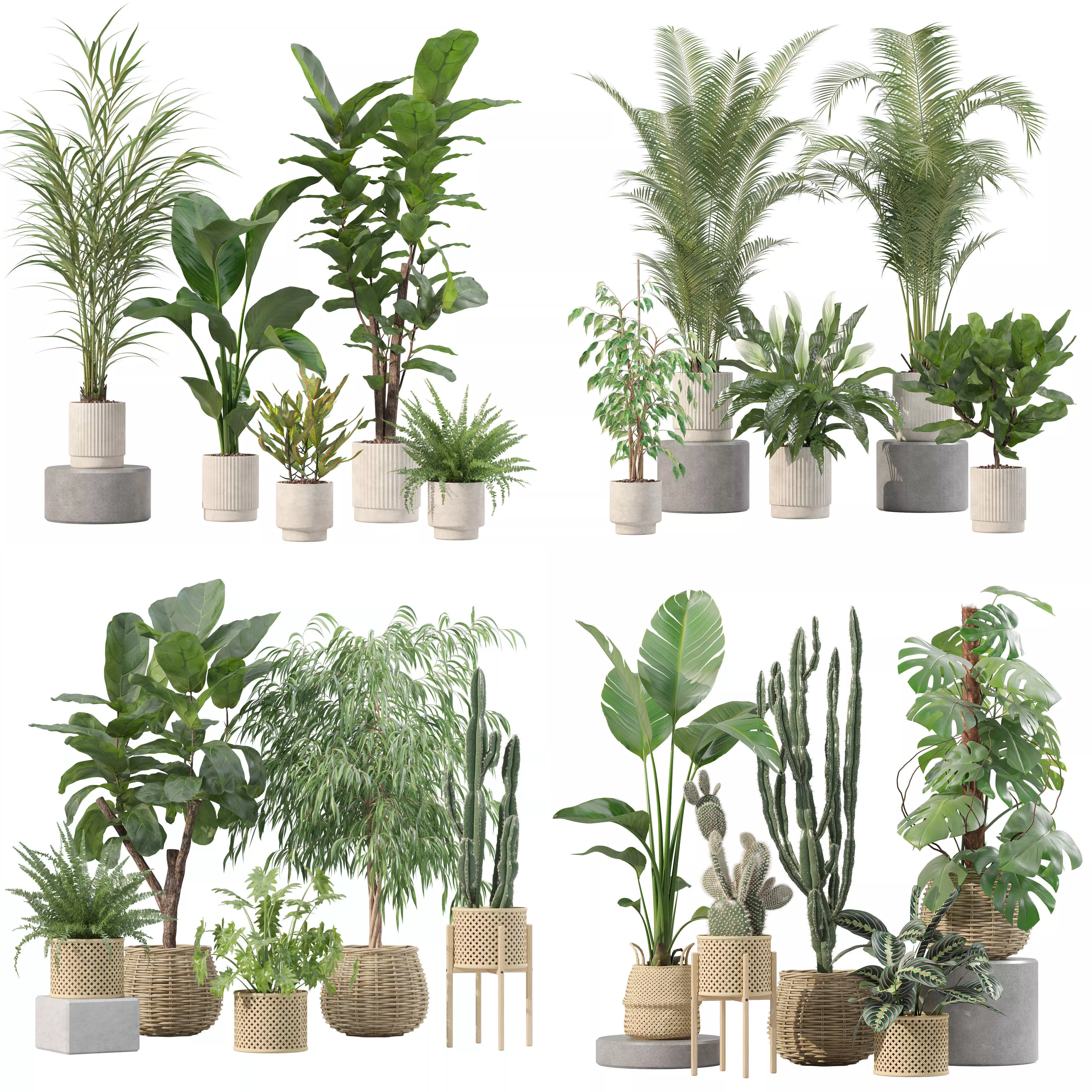 20 Photorealistic Flowers for Interiors - set 204 211 213 219 3D Model Collection_0