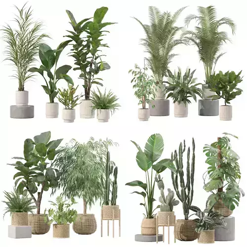 20 Photorealistic Flowers for Interiors - set 204 211 213 219 3D Model Collection