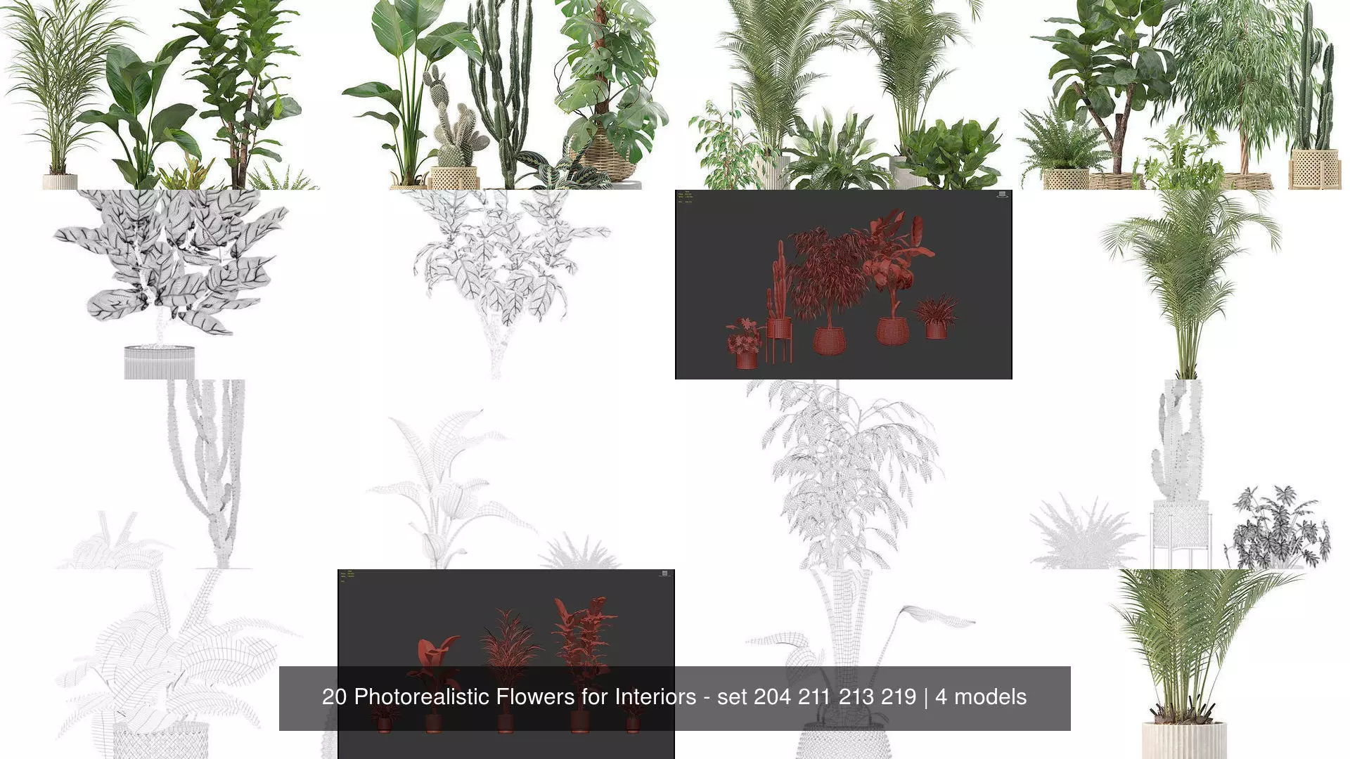 20 Photorealistic Flowers for Interiors - set 204 211 213 219 3D Model Collection_1