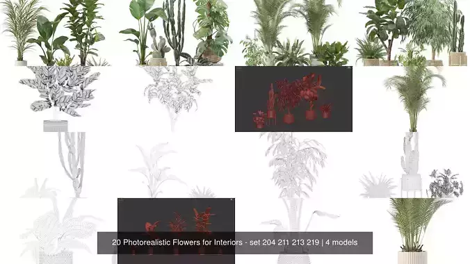 20 Photorealistic Flowers for Interiors - set 204 211 213 219
