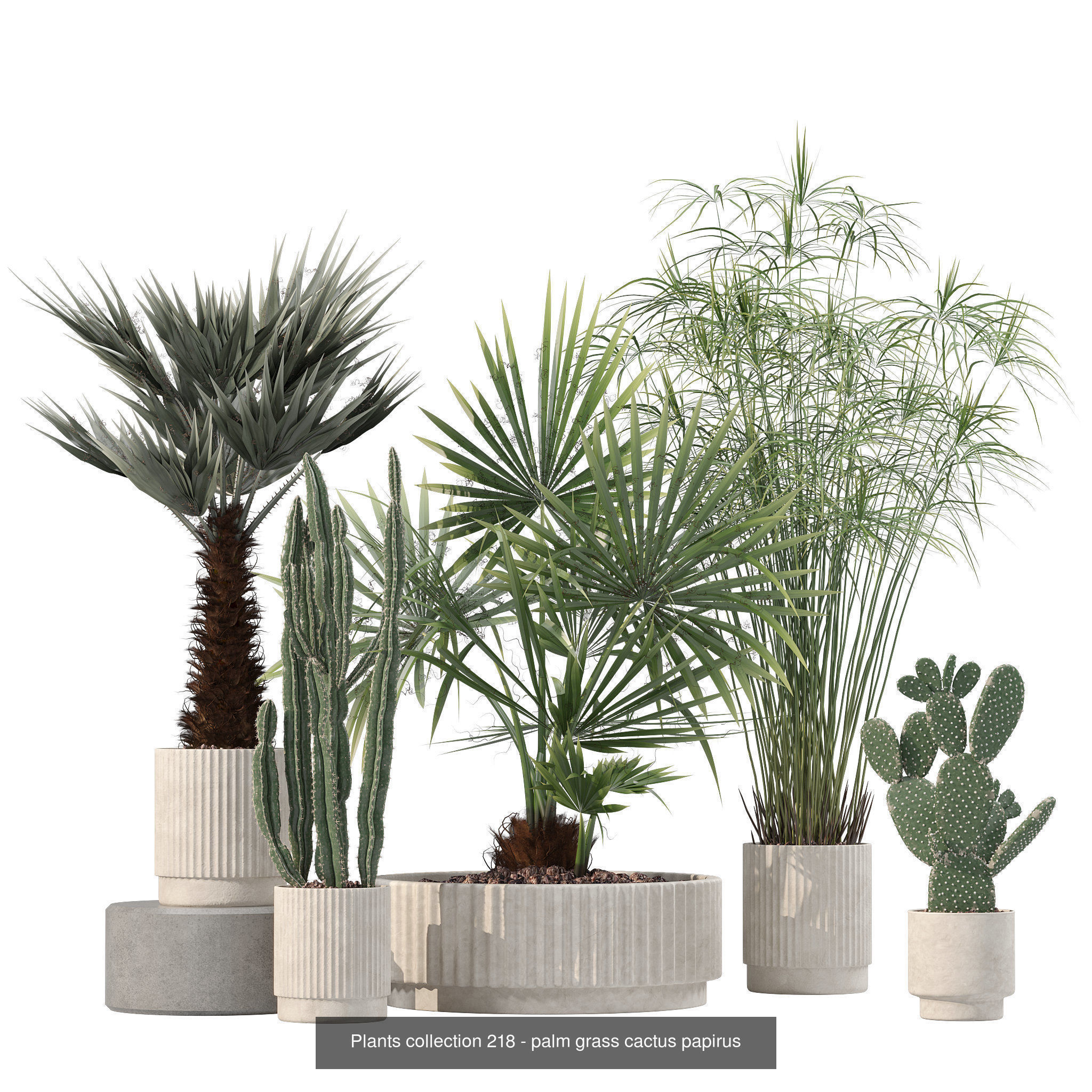 20 Photorealistic Flowers for Interiors - set 204 213 216 218 3D Model Collection_8