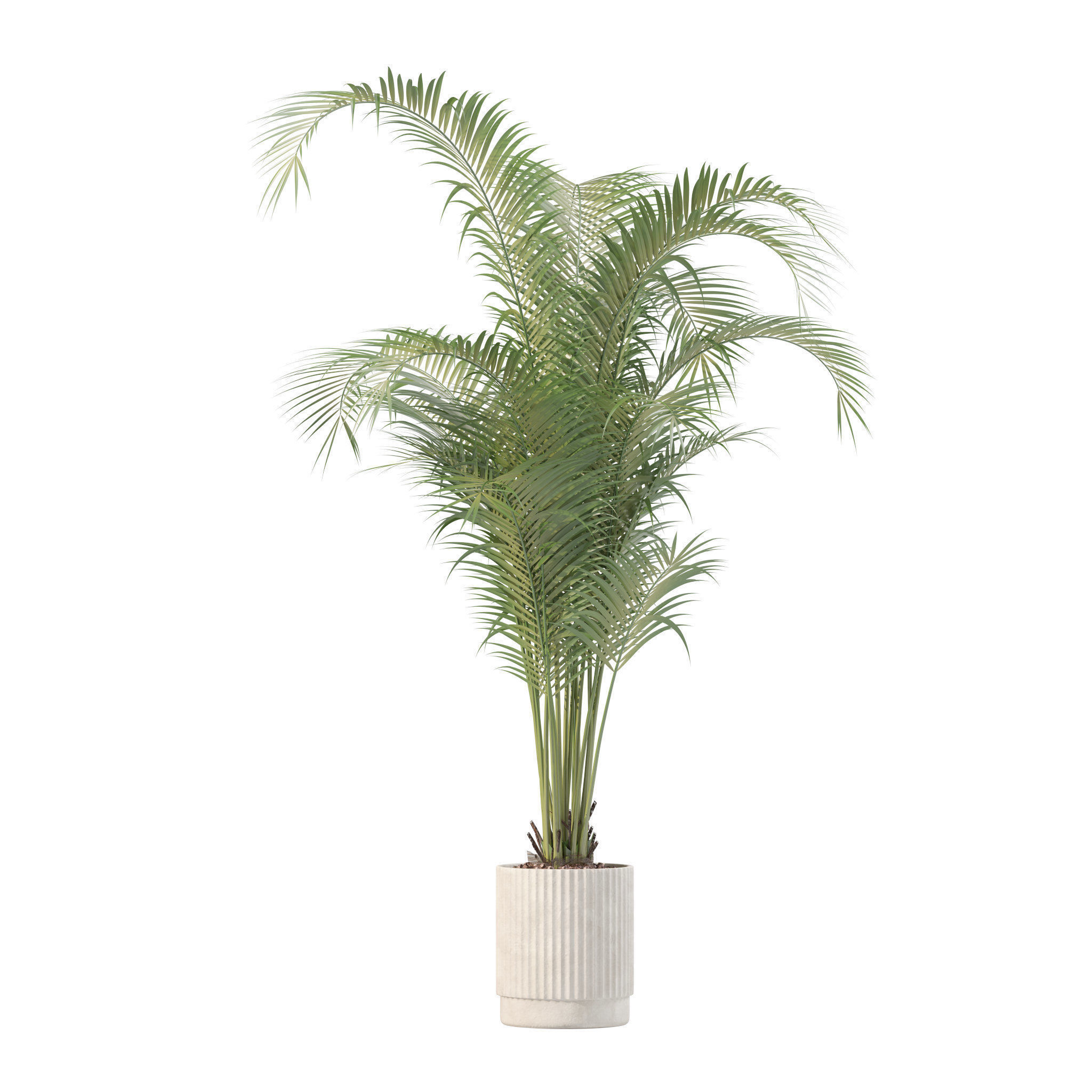 20 Photorealistic Flowers for Interiors - set 204 213 216 218 3D Model Collection_17