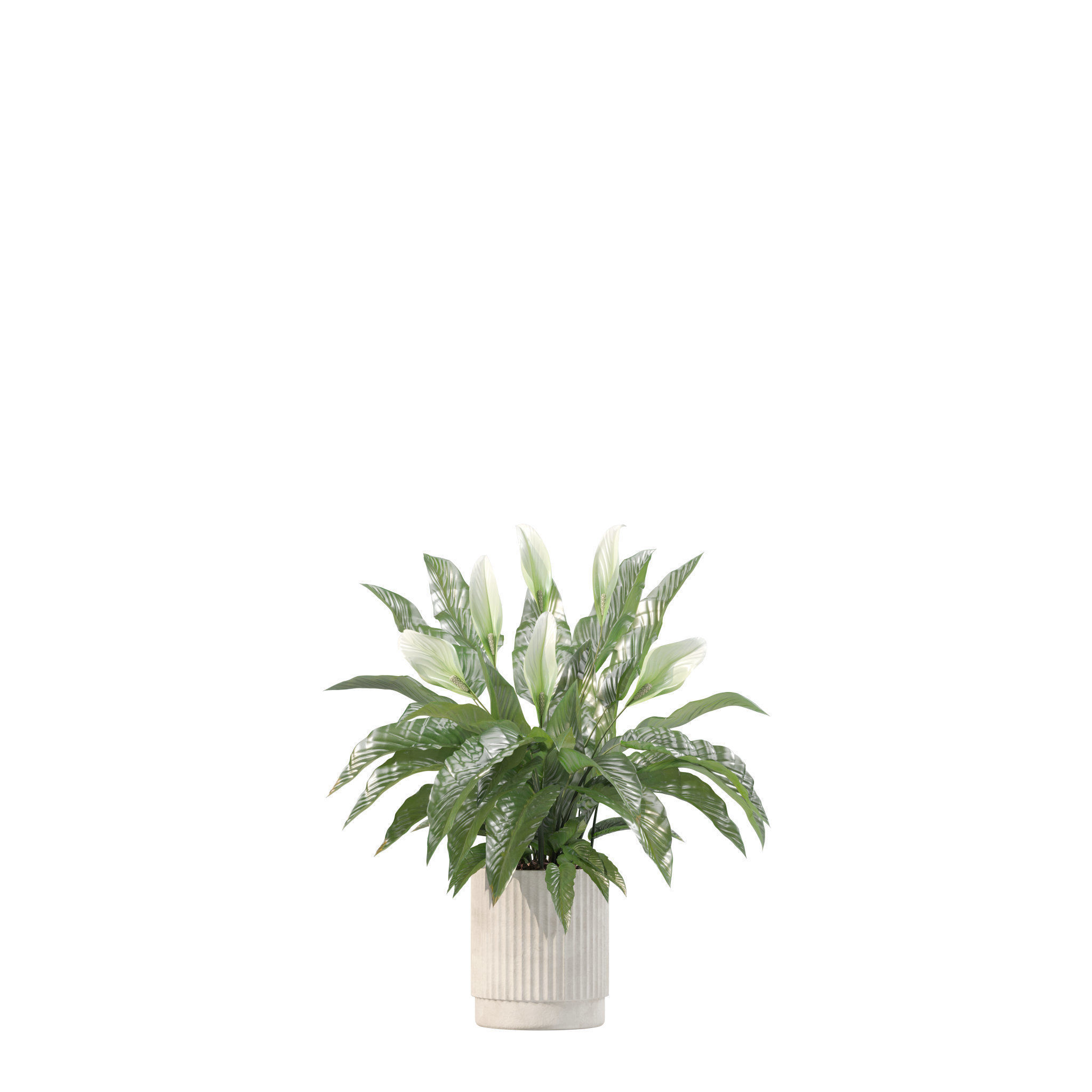 20 Photorealistic Flowers for Interiors - set 204 213 216 218 3D Model Collection_19