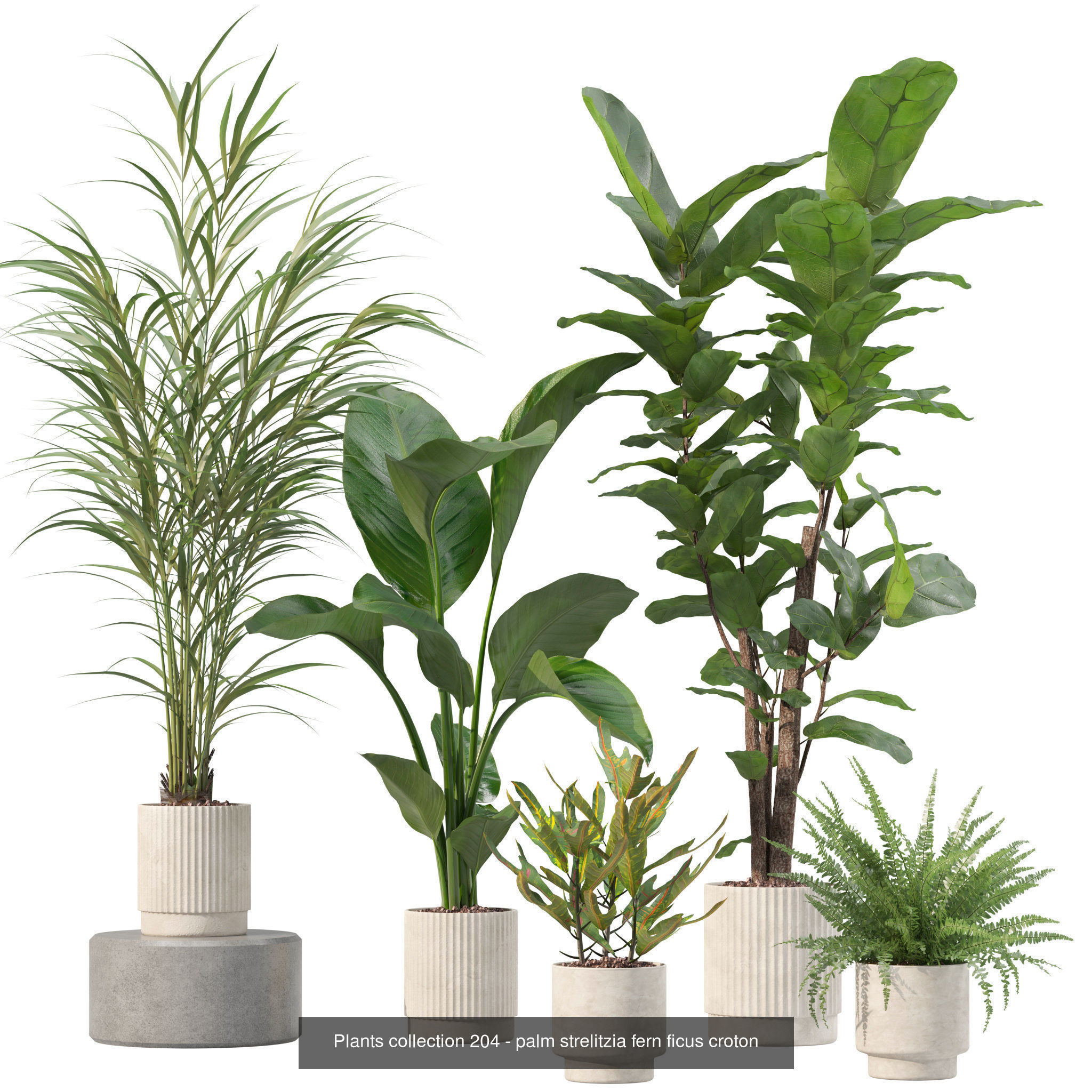 20 Photorealistic Flowers for Interiors - set 204 213 216 218 3D Model Collection_5