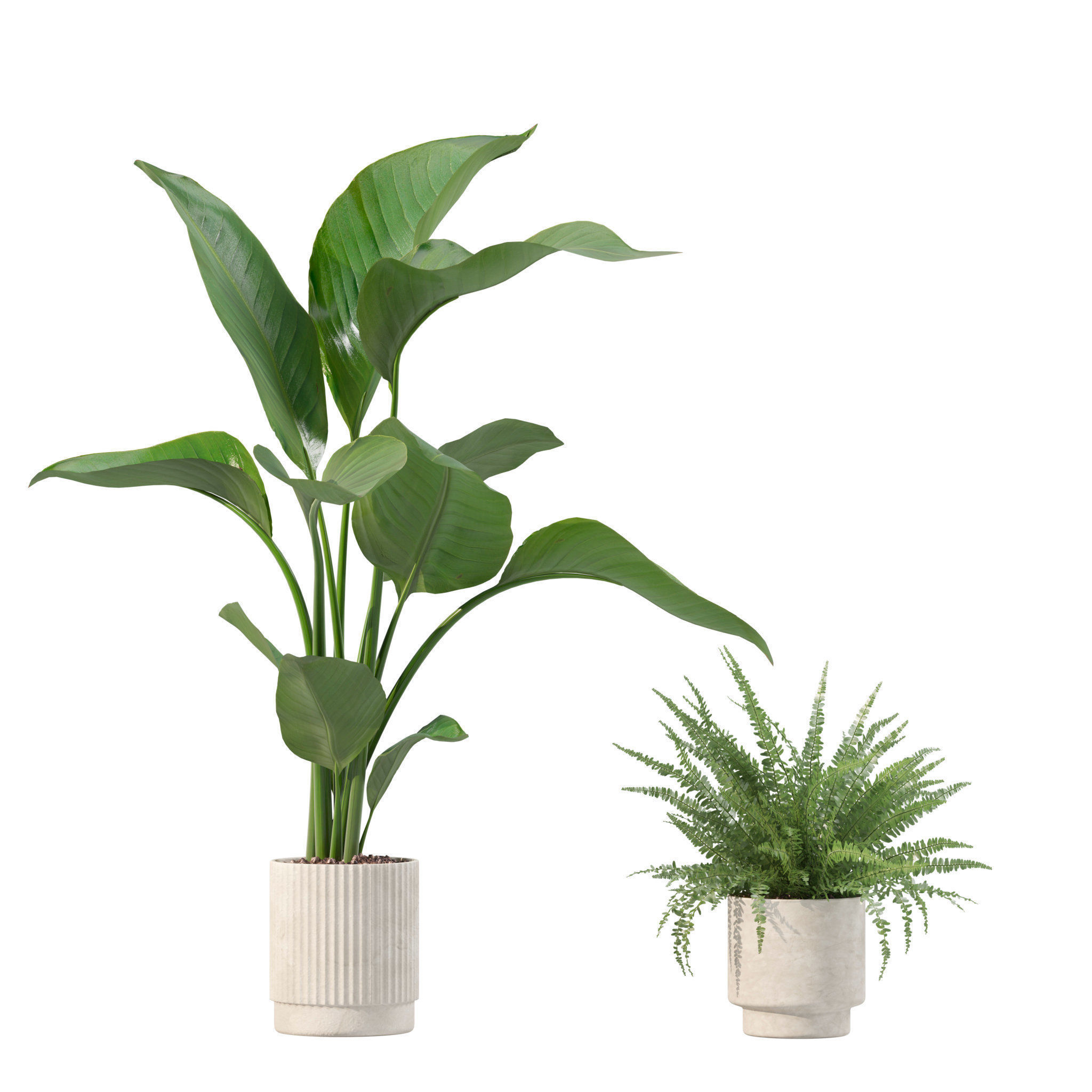 20 Photorealistic Flowers for Interiors - set 204 213 216 218 3D Model Collection_15