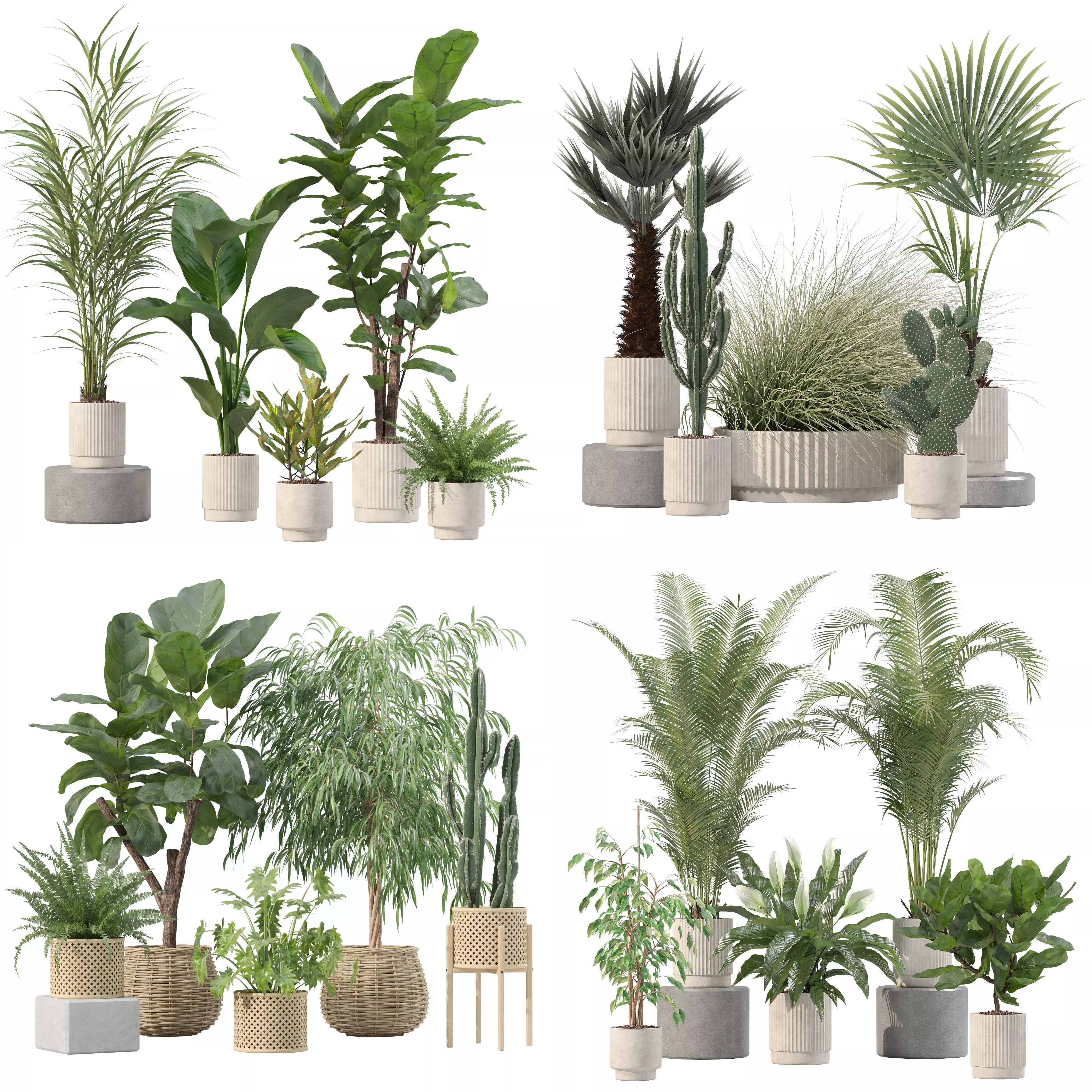 20 Photorealistic Flowers for Interiors - set 204 213 216 218 3D Model Collection_0