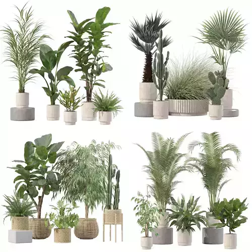 20 Photorealistic Flowers for Interiors - set 204 213 216 218 3D Model Collection