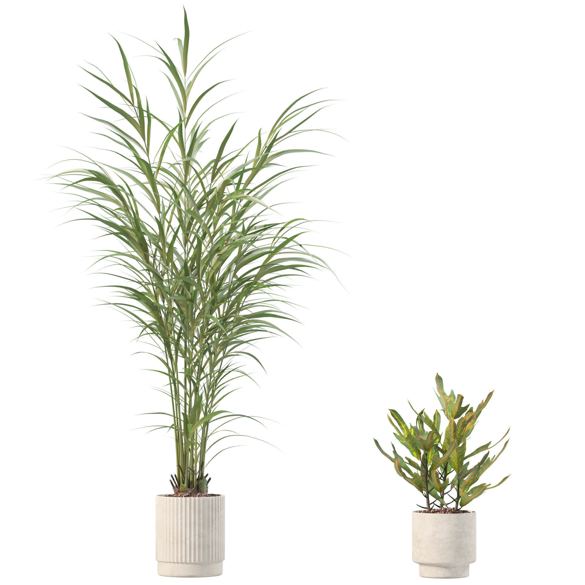 20 Photorealistic Flowers for Interiors - set 204 213 216 218 3D Model Collection_14