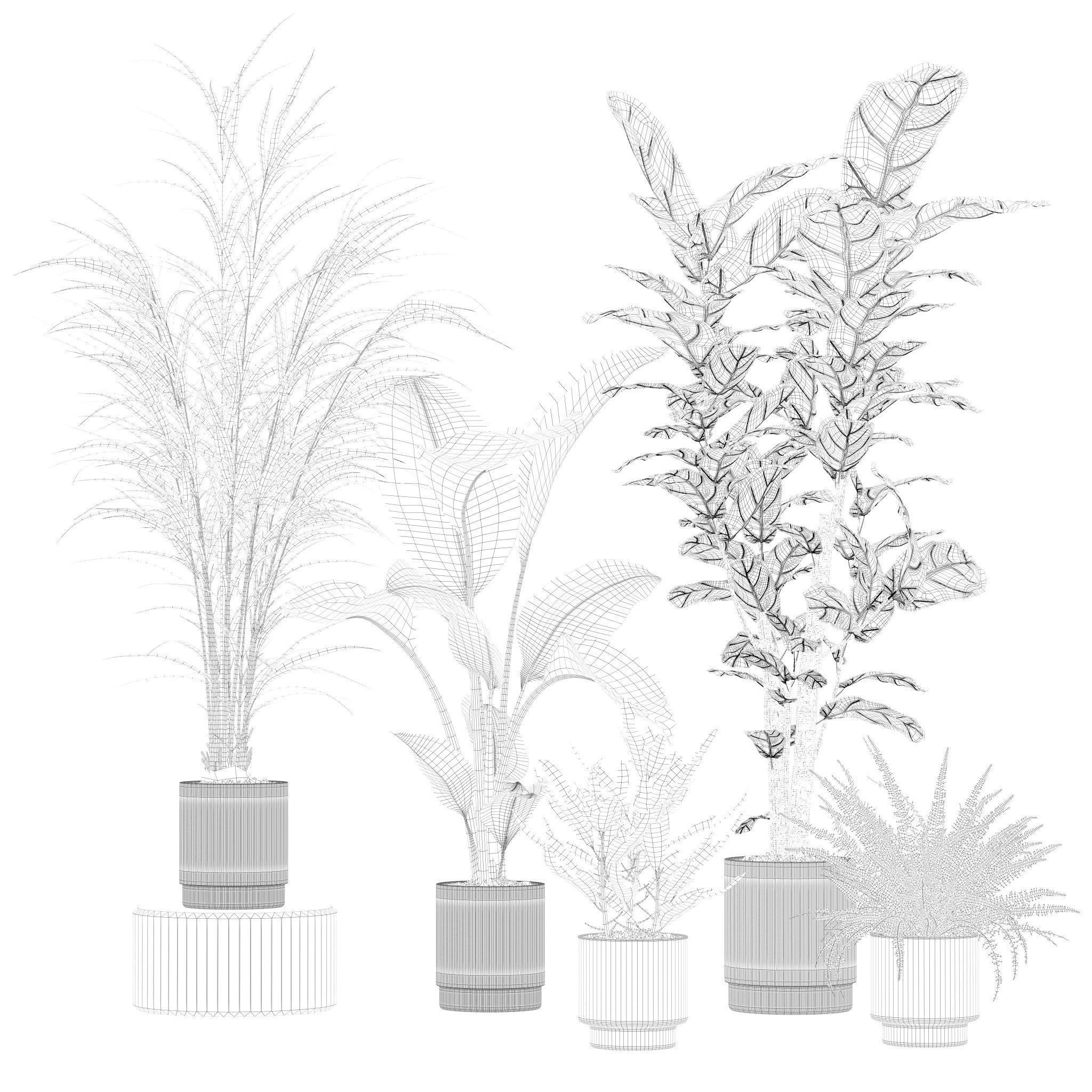 20 Photorealistic Flowers for Interiors - set 204 213 216 218 3D Model Collection_9
