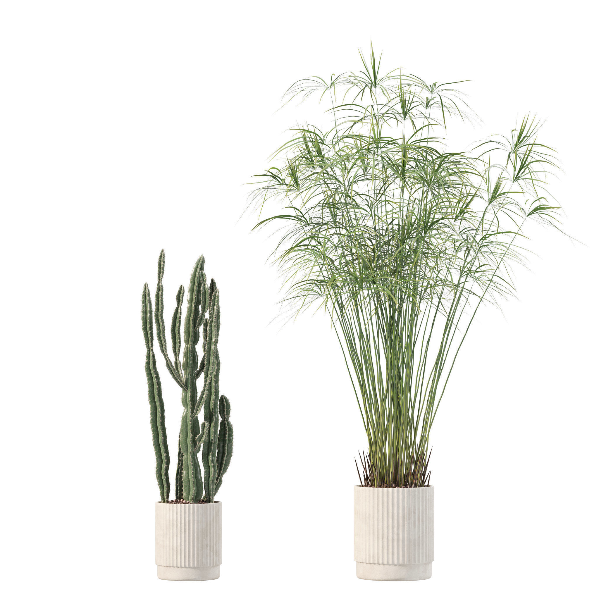 20 Photorealistic Flowers for Interiors - set 204 213 216 218 3D Model Collection_21