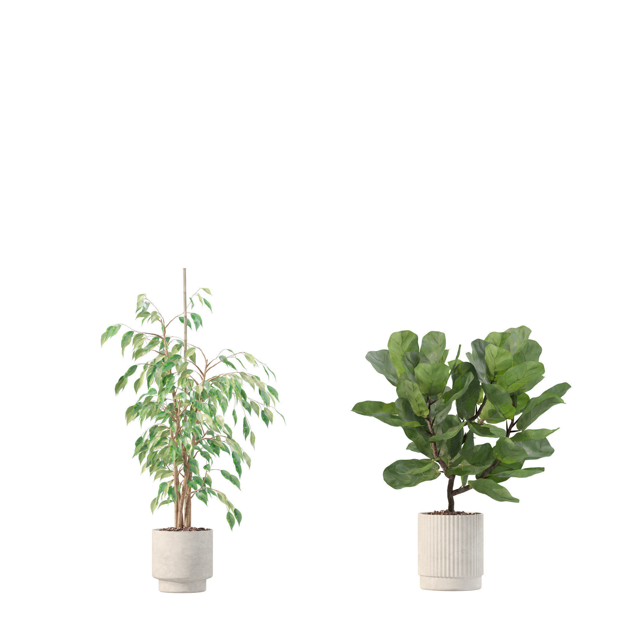 20 Photorealistic Flowers for Interiors - set 204 213 216 218 3D Model Collection_16