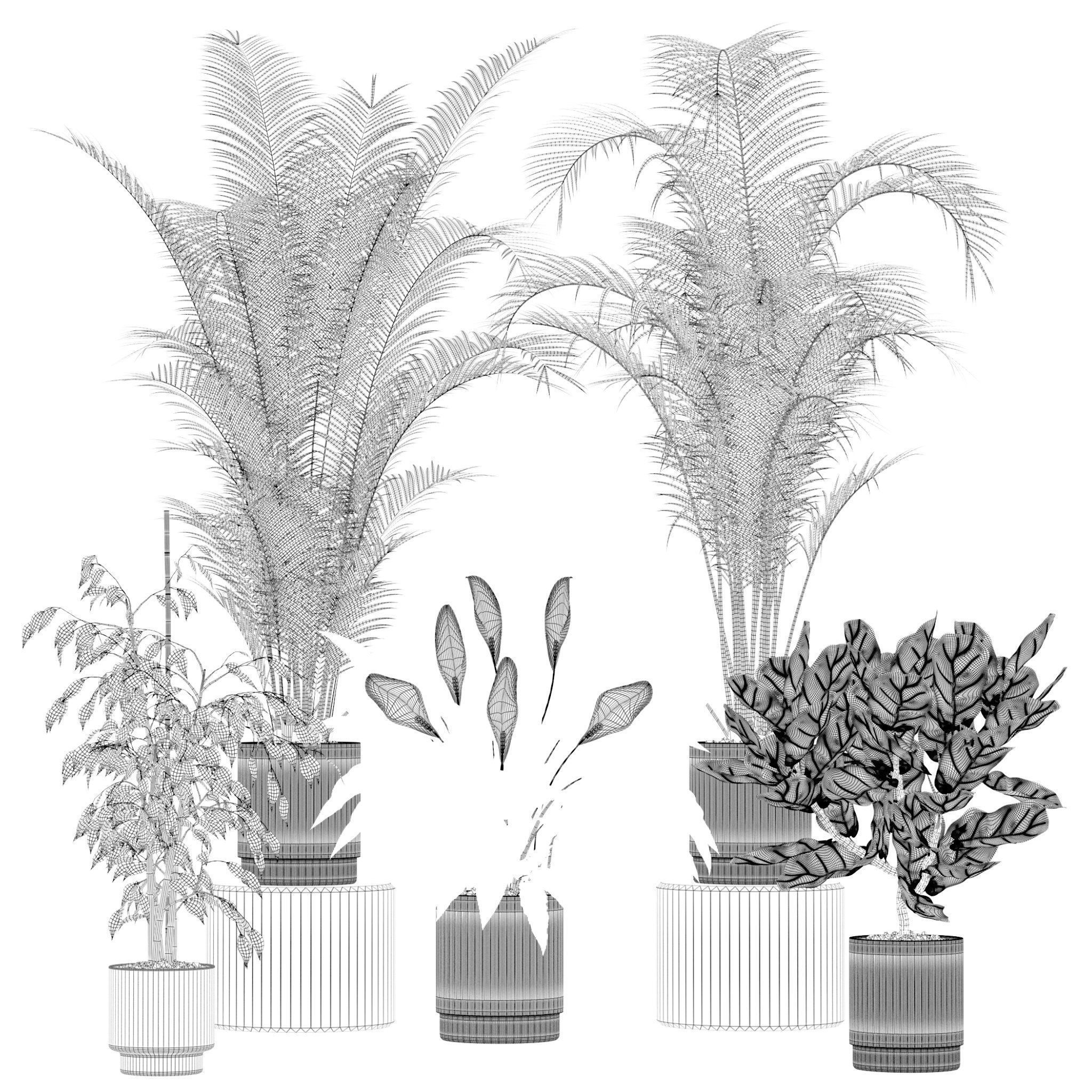 20 Photorealistic Flowers for Interiors - set 204 213 216 218 3D Model Collection_11