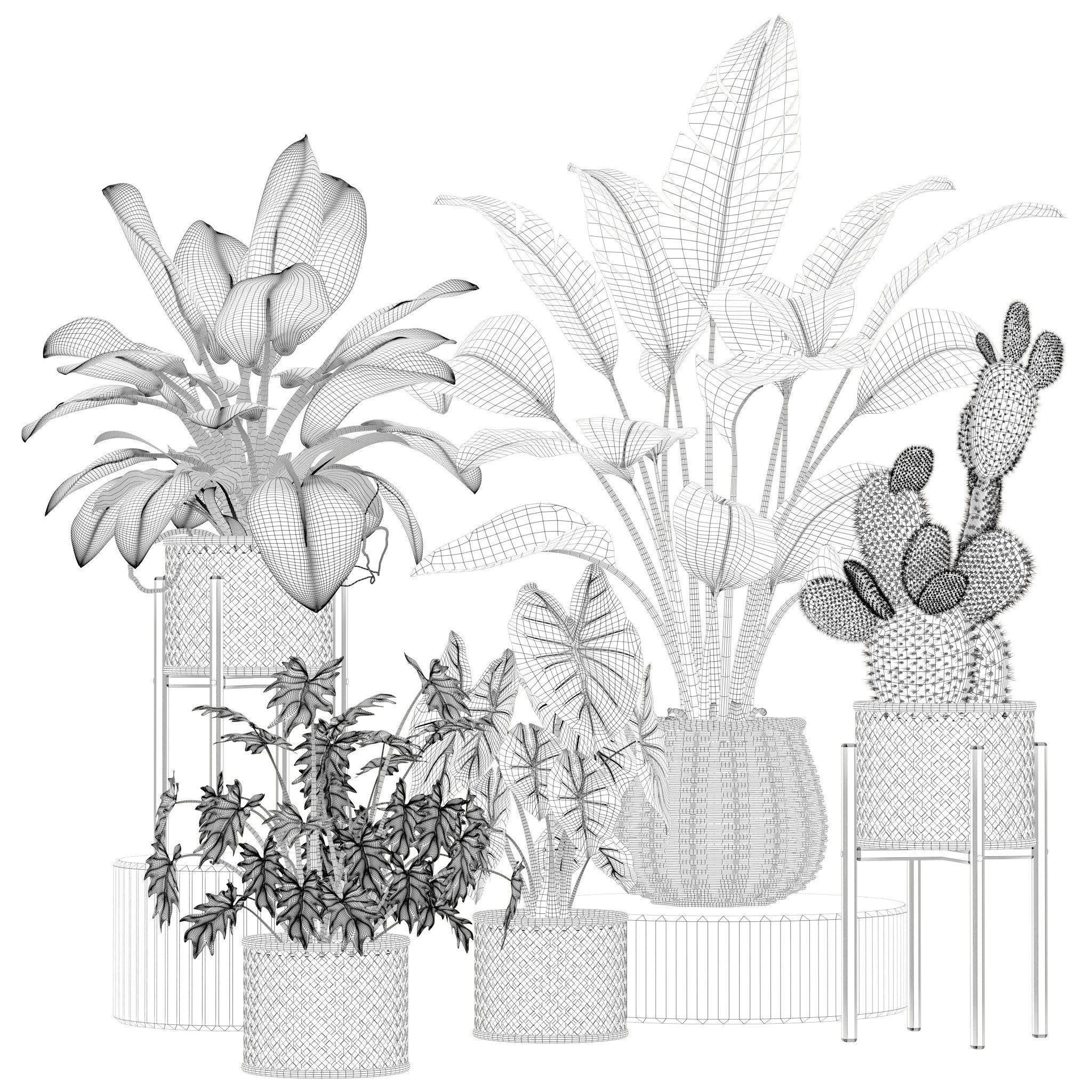 20 Photorealistic Flowers for Interiors - set 205 206 207 209 3D Model Collection_11