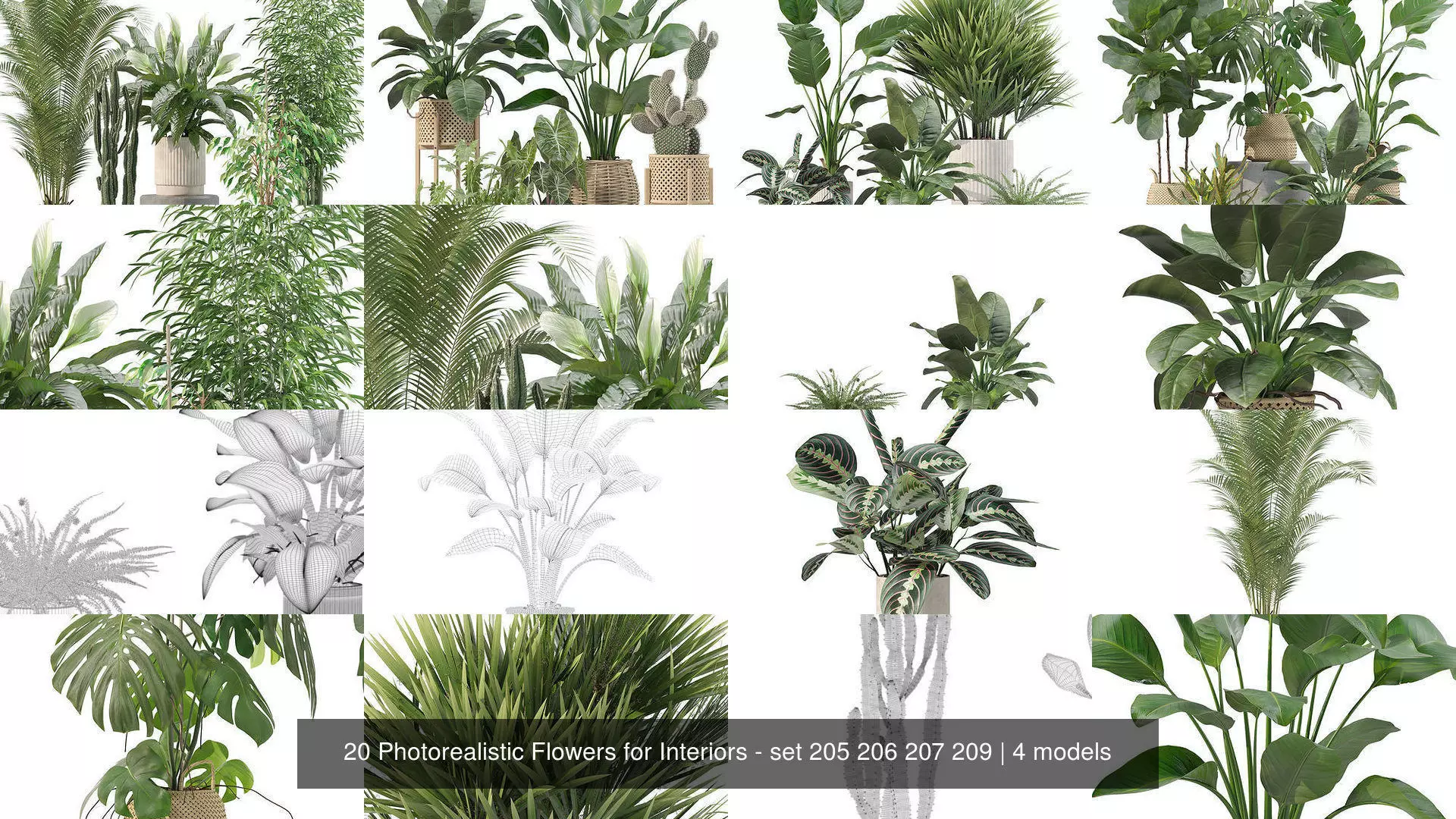 20 Photorealistic Flowers for Interiors - set 205 206 207 209 3D Model Collection_1