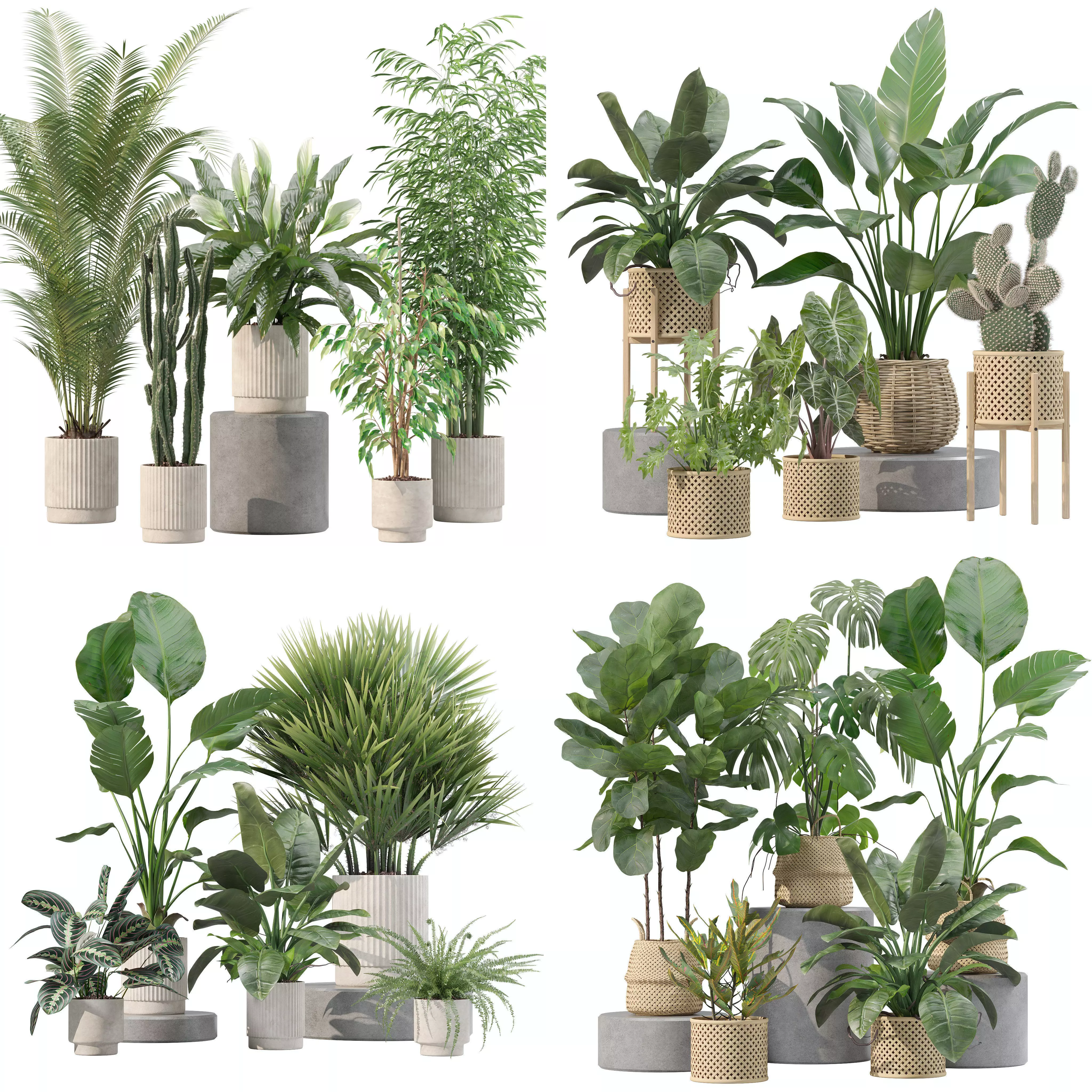 20 Photorealistic Flowers for Interiors - set 205 206 207 209 3D Model Collection_0