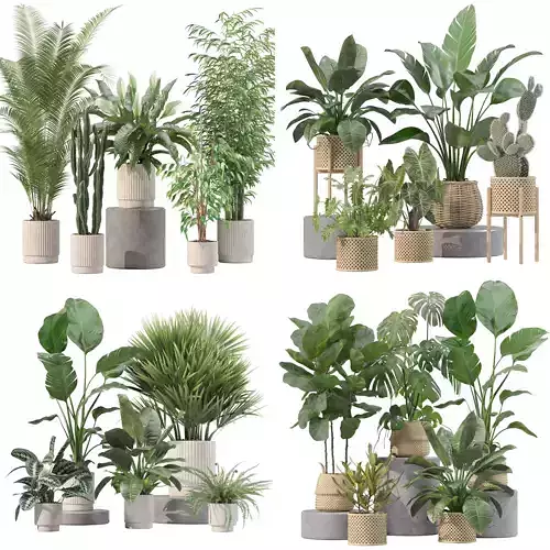 20 Photorealistic Flowers for Interiors - set 205 206 207 209 3D Model Collection