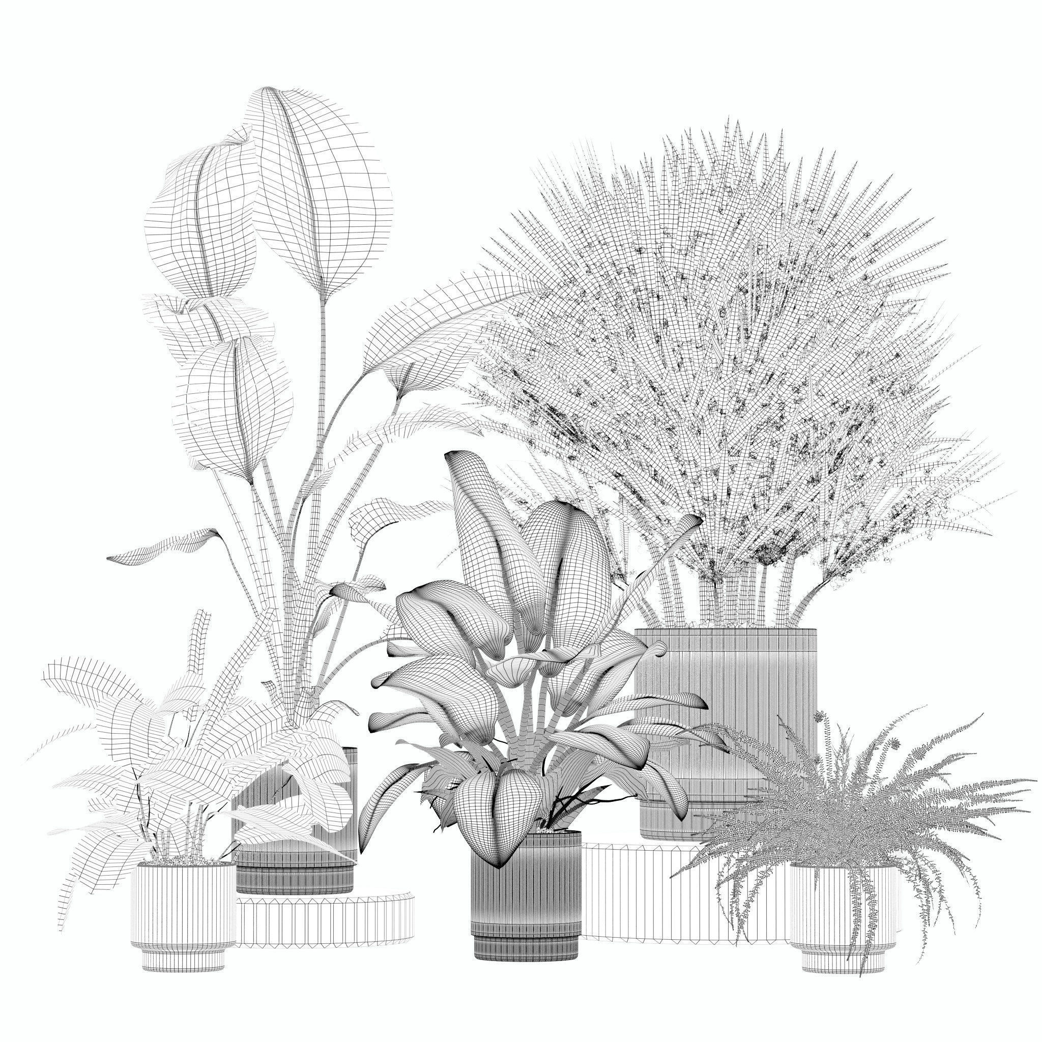 20 Photorealistic Flowers for Interiors - set 205 207 209 211 3D Model Collection_11