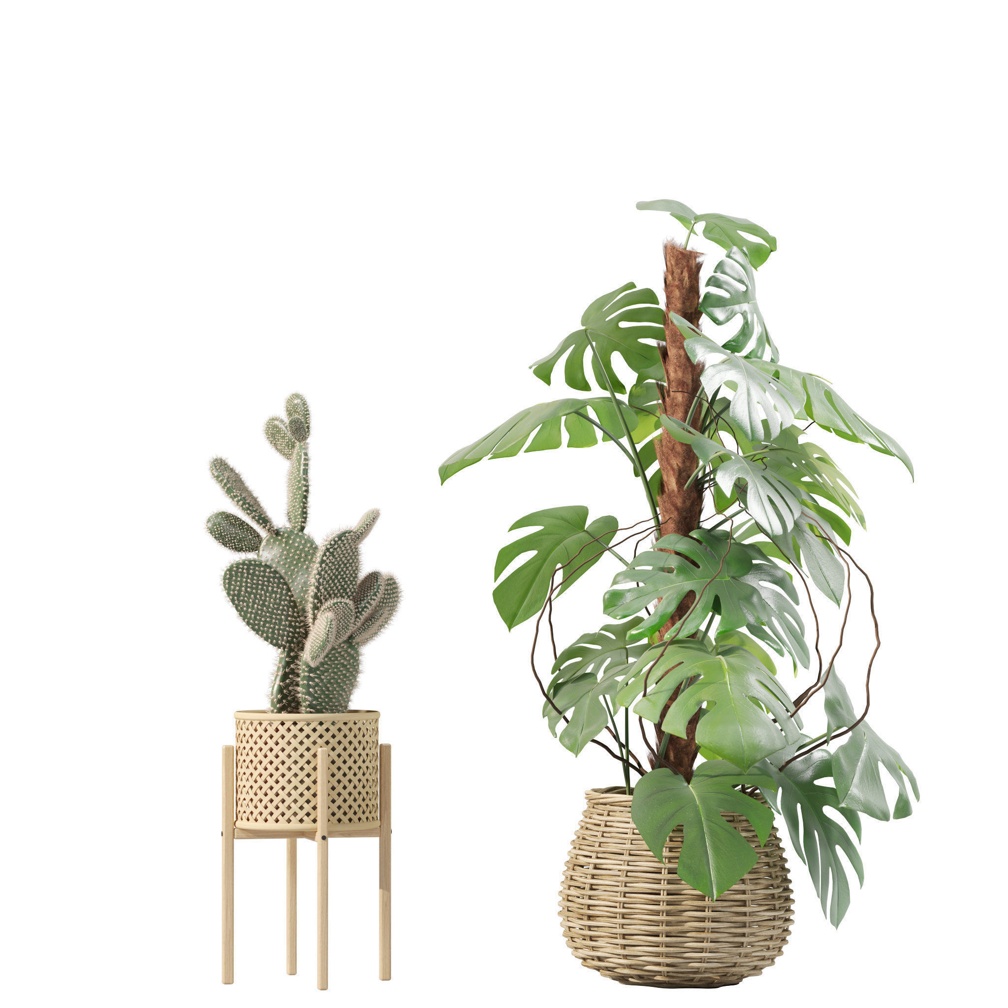 20 Photorealistic Flowers for Interiors - set 205 207 209 211 3D Model Collection_24