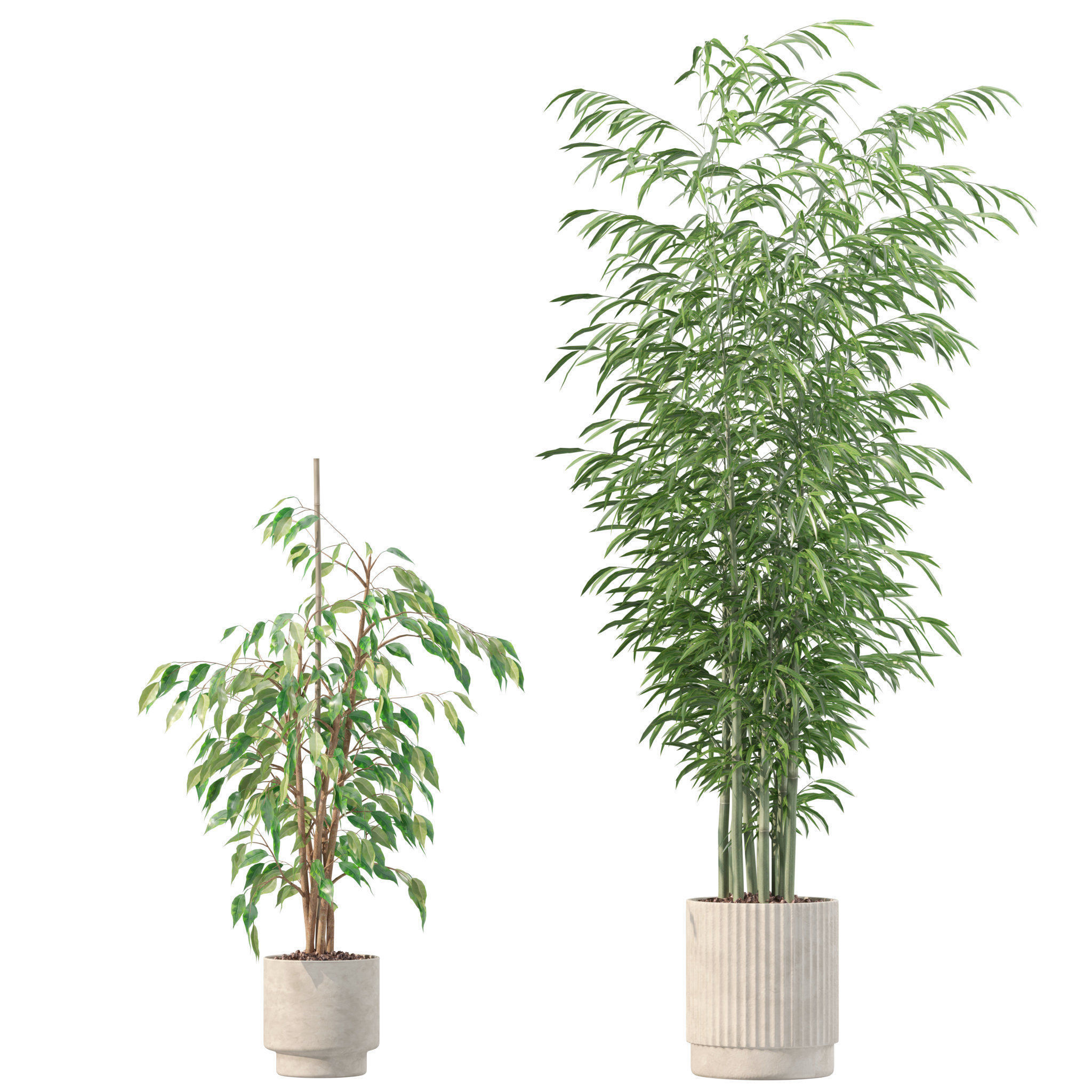 20 Photorealistic Flowers for Interiors - set 205 207 209 211 3D Model Collection_13
