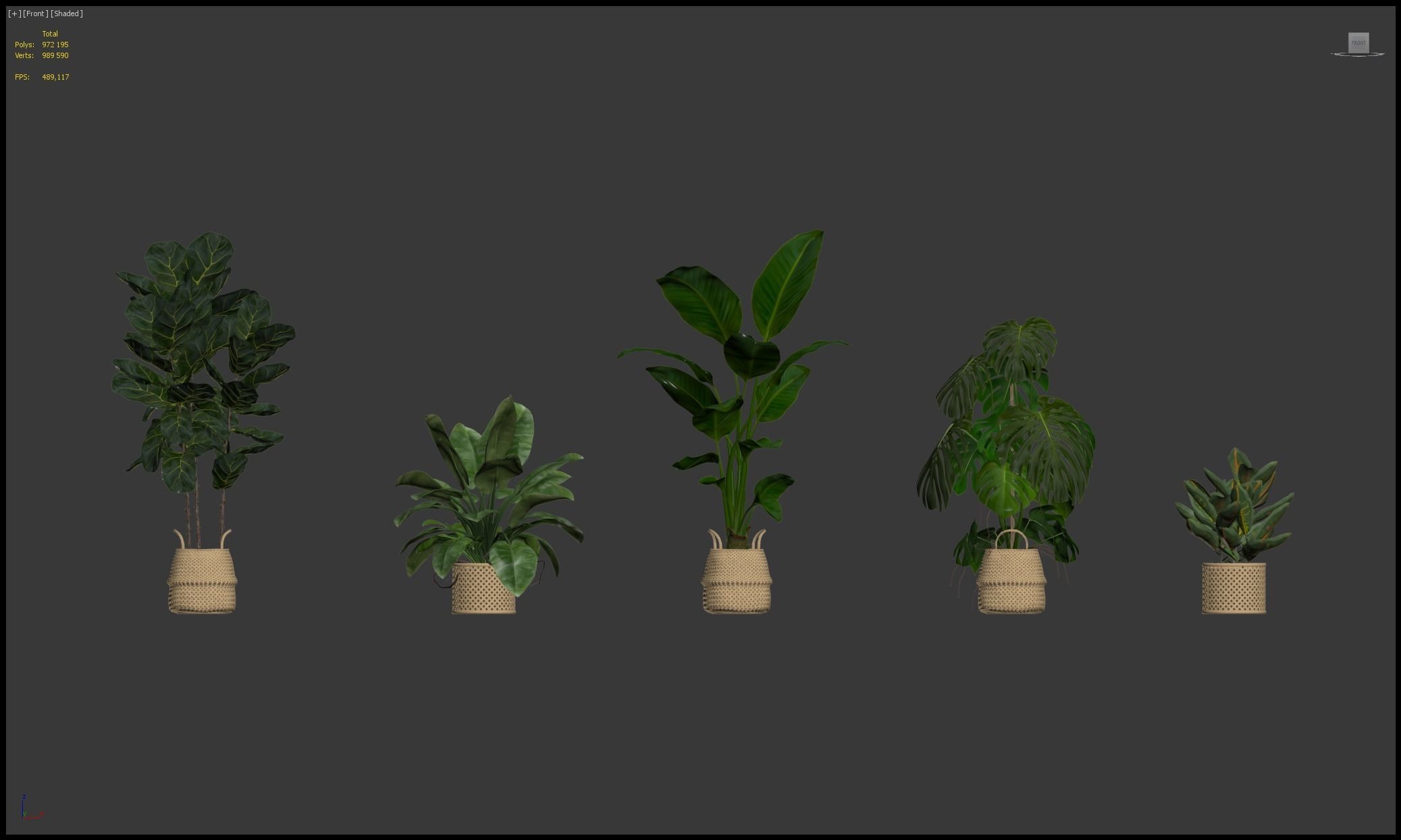 20 Photorealistic Flowers for Interiors - set 205 207 209 211 3D Model Collection_3