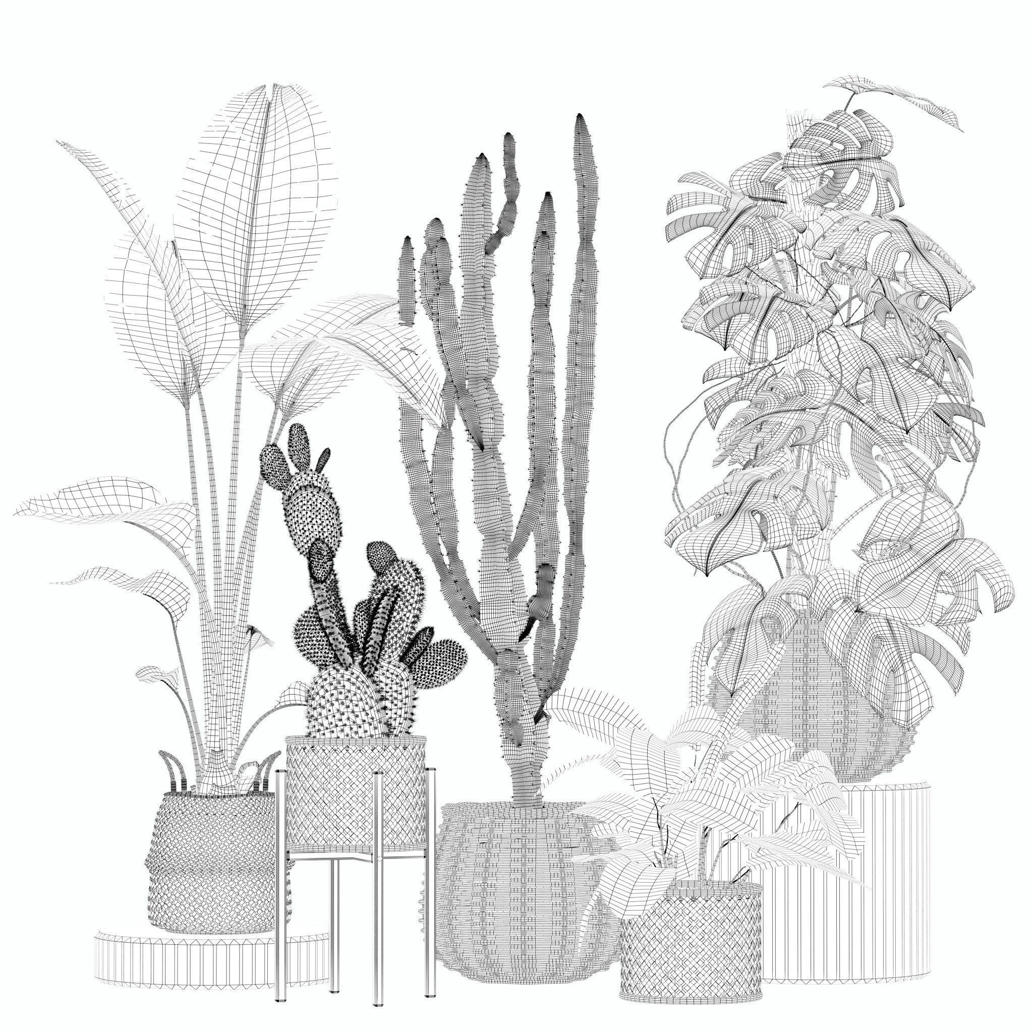 20 Photorealistic Flowers for Interiors - set 205 207 209 211 3D Model Collection_12