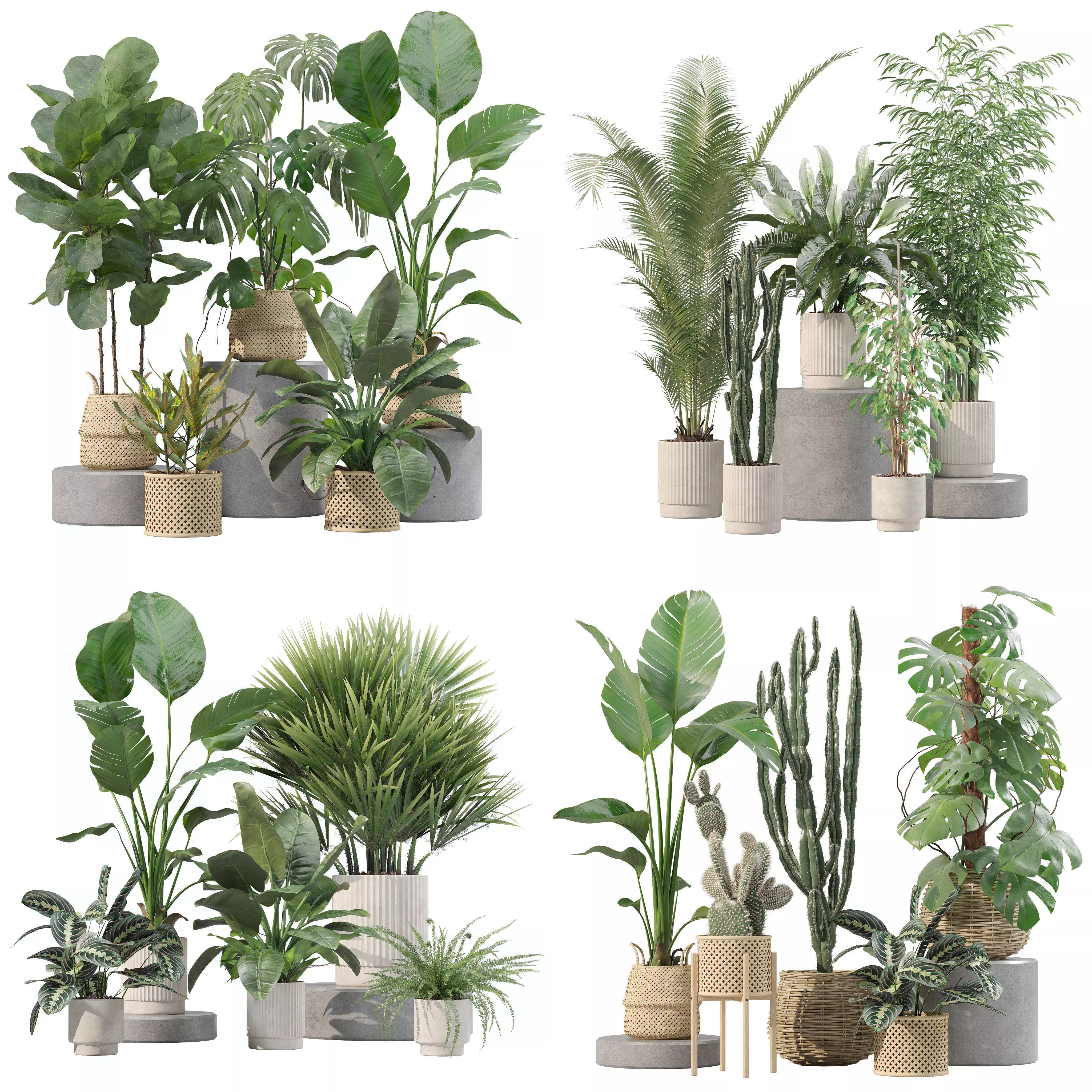 20 Photorealistic Flowers for Interiors - set 205 207 209 211 3D Model Collection_0