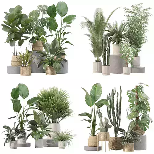 20 Photorealistic Flowers for Interiors - set 205 207 209 211 3D Model Collection