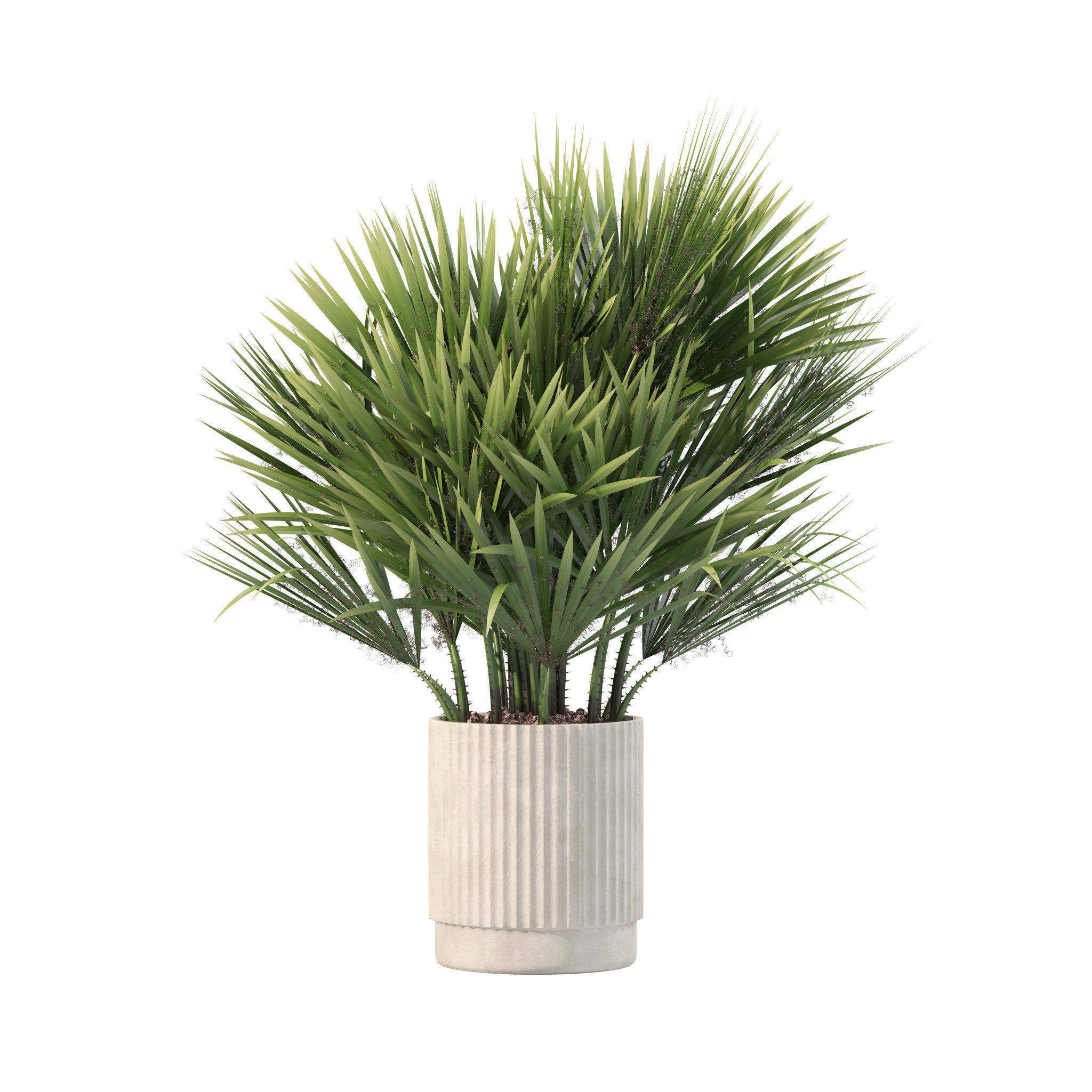 20 Photorealistic Flowers for Interiors - set 205 207 209 211 3D Model Collection_16