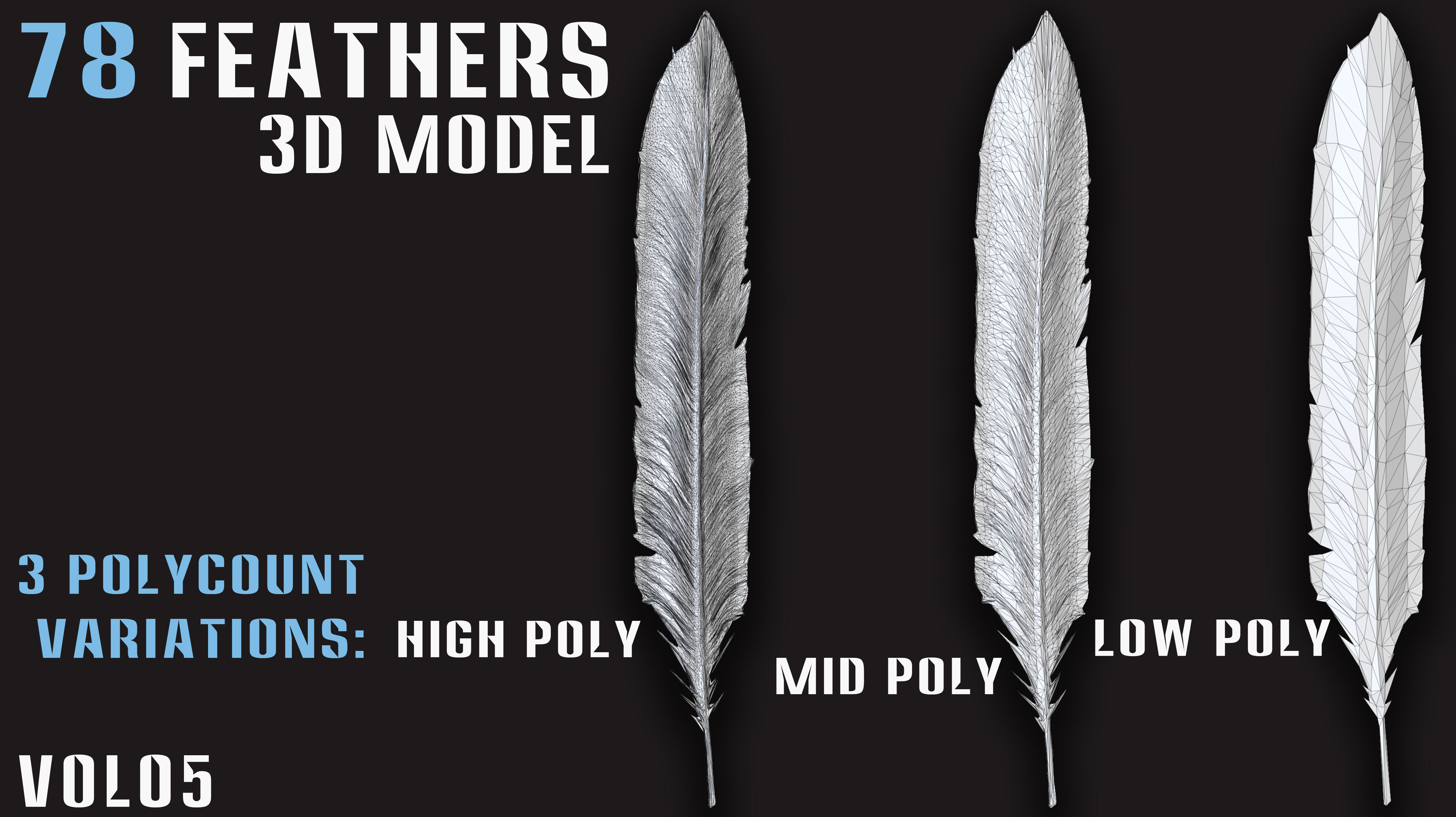 78 Feathers 3D Model - High and Mid and Low Poly- Vol05 Low-poly 3D model_1