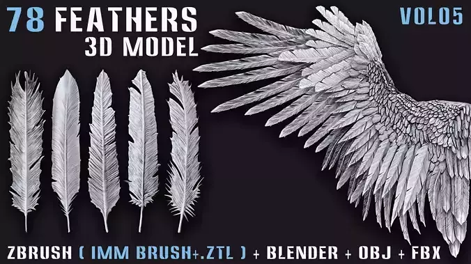 78 Feathers 3D Model - High and Mid and Low Poly- Vol05 Low-poly 3D model