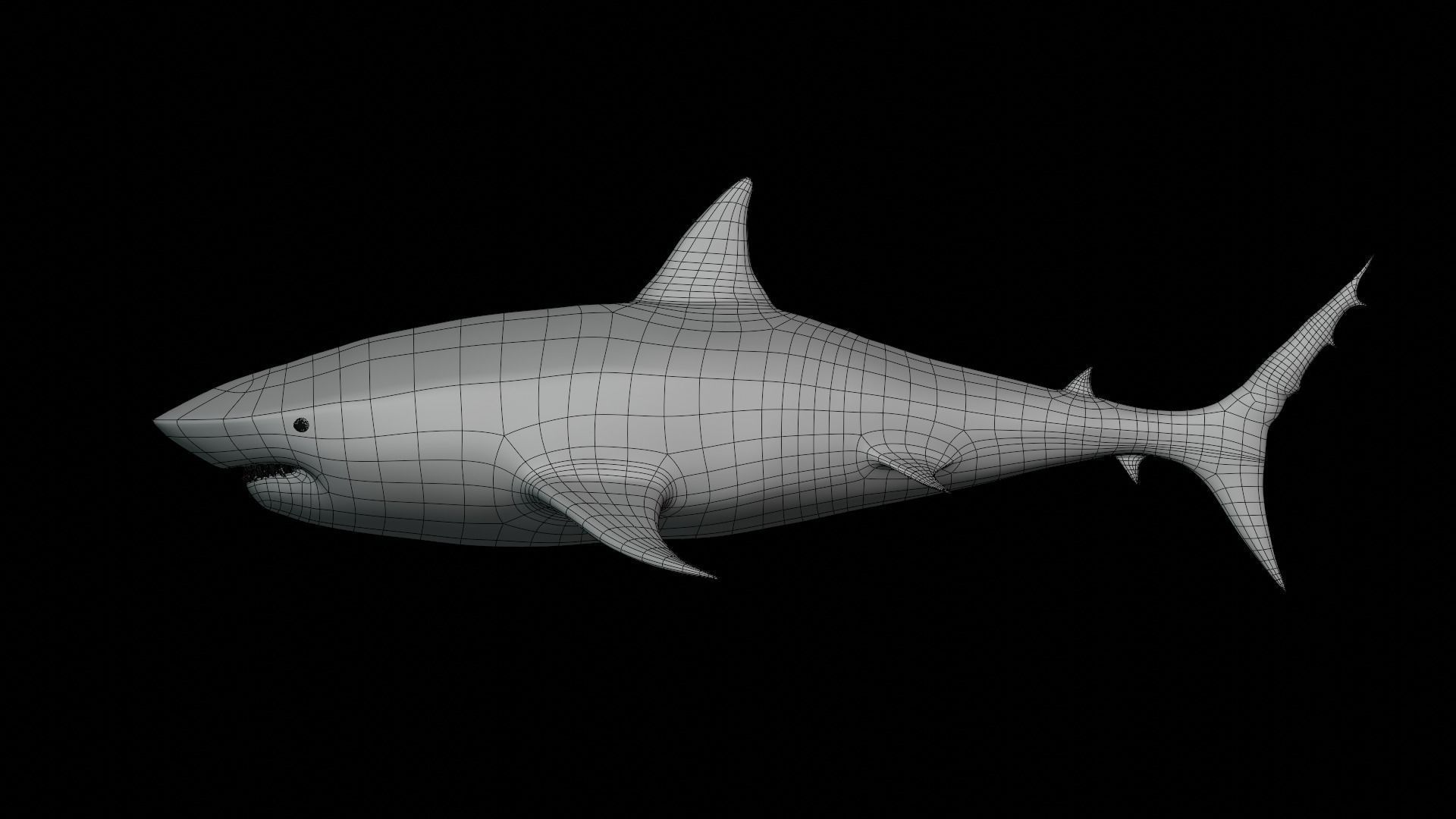 Realistic Great White Shark - Game Ready Rigged and Animated Low-poly 3D model_3