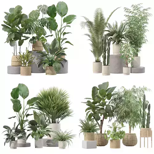 20 Photorealistic Flowers for Interiors - set 205 207 209 219 3D Model Collection