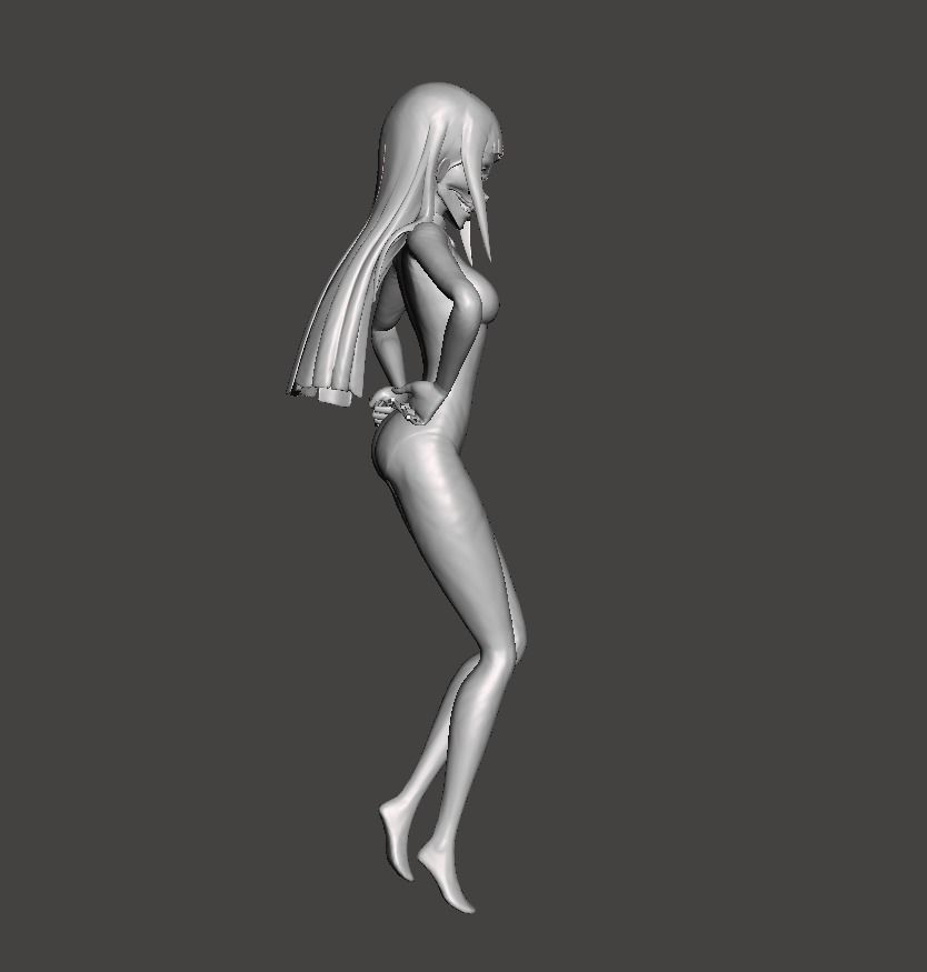 Melascula 3D Model 3D print model_2