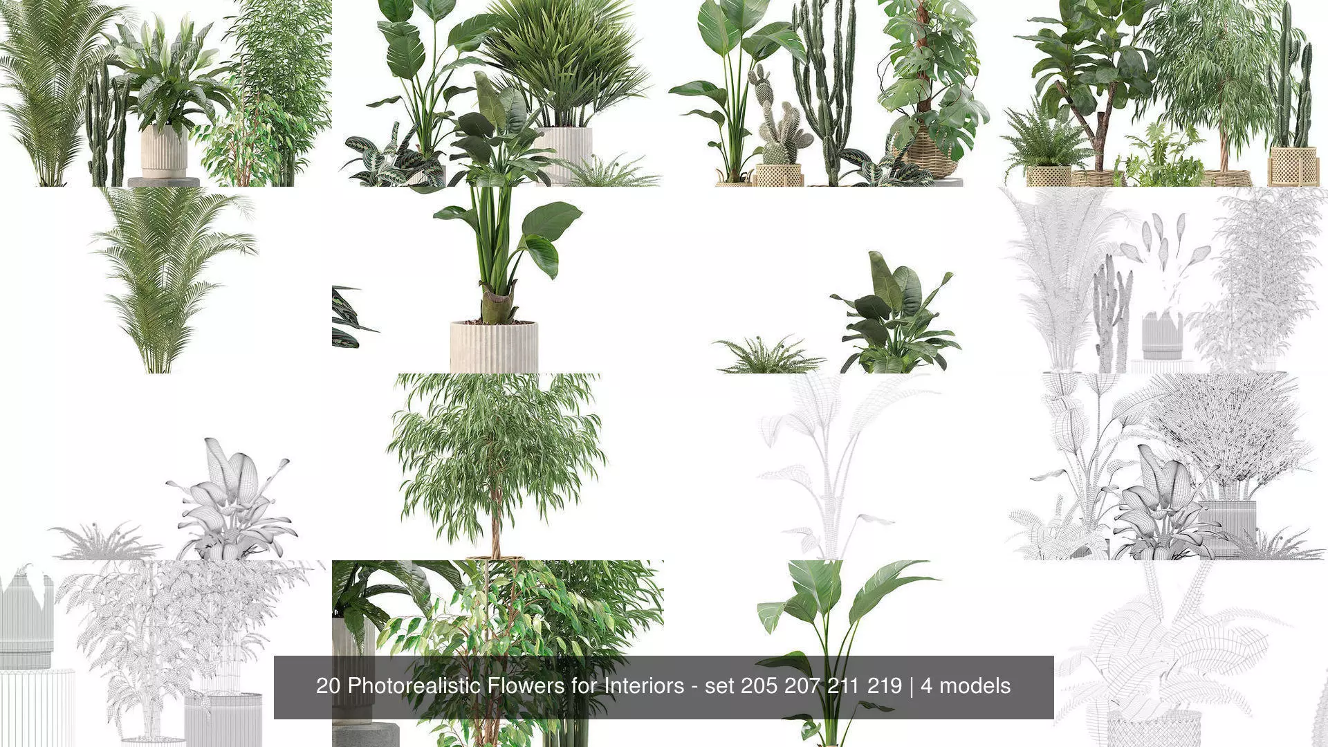 20 Photorealistic Flowers for Interiors - set 205 207 211 219 3D Model Collection_1