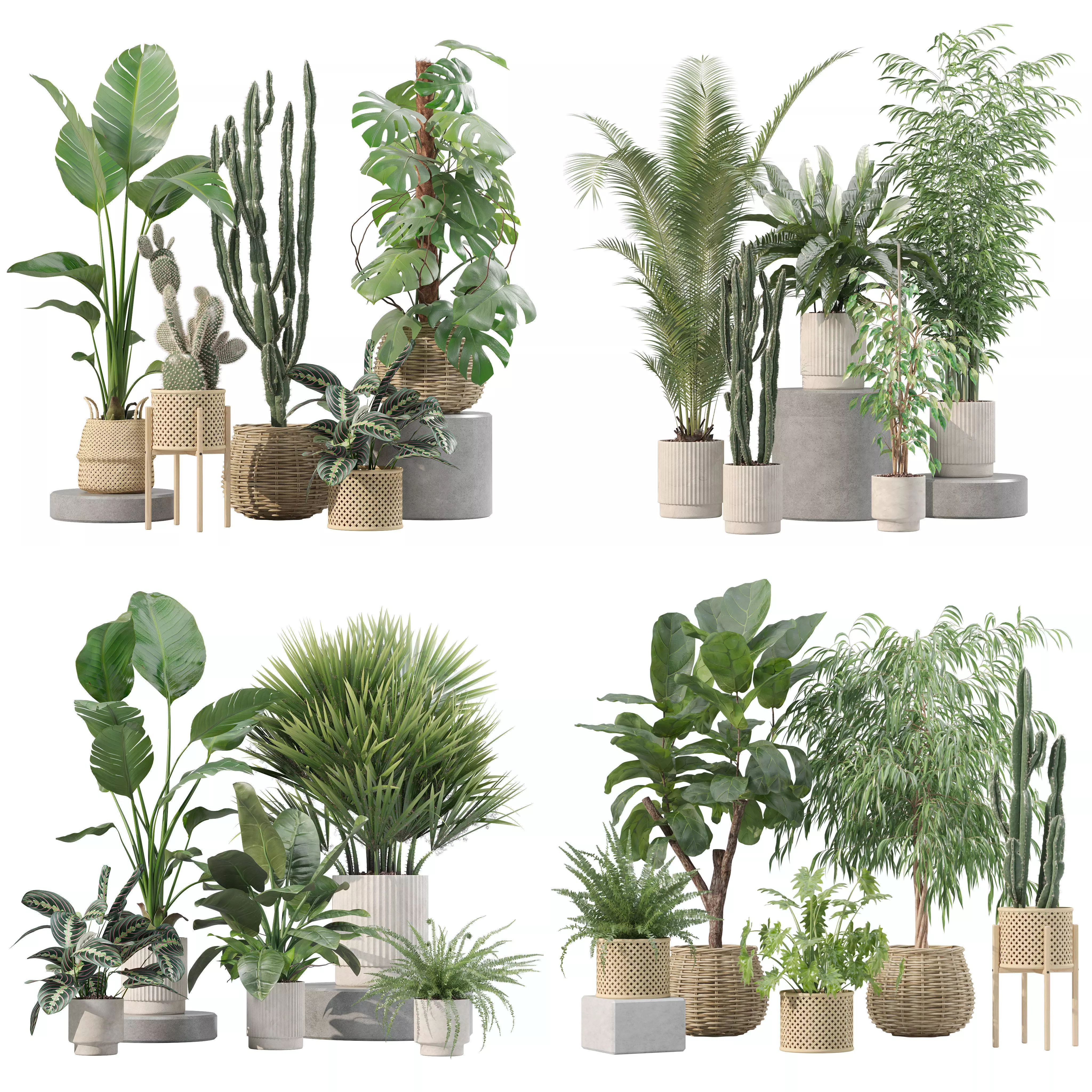 20 Photorealistic Flowers for Interiors - set 205 207 211 219 3D Model Collection_0
