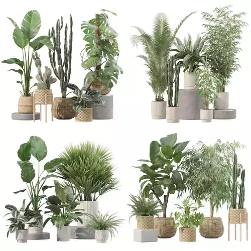 20 Photorealistic Flowers for Interiors - set 205 207 211 219 3D Model Collection