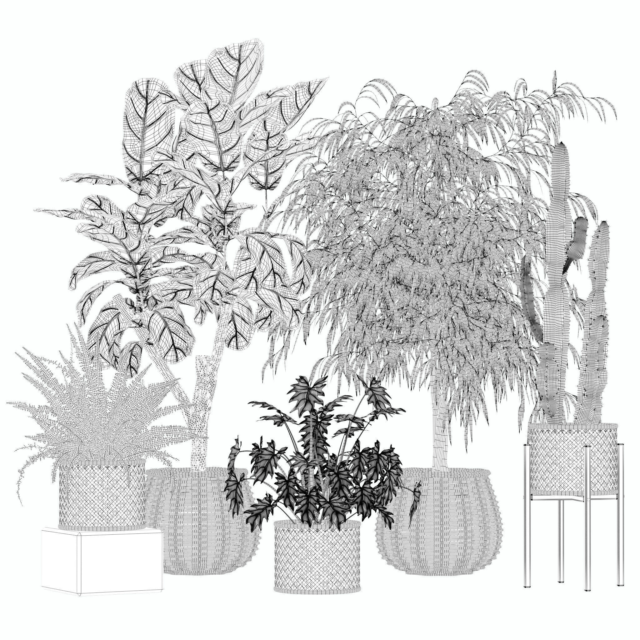 20 Photorealistic Flowers for Interiors - set 205 207 211 219 3D Model Collection_13