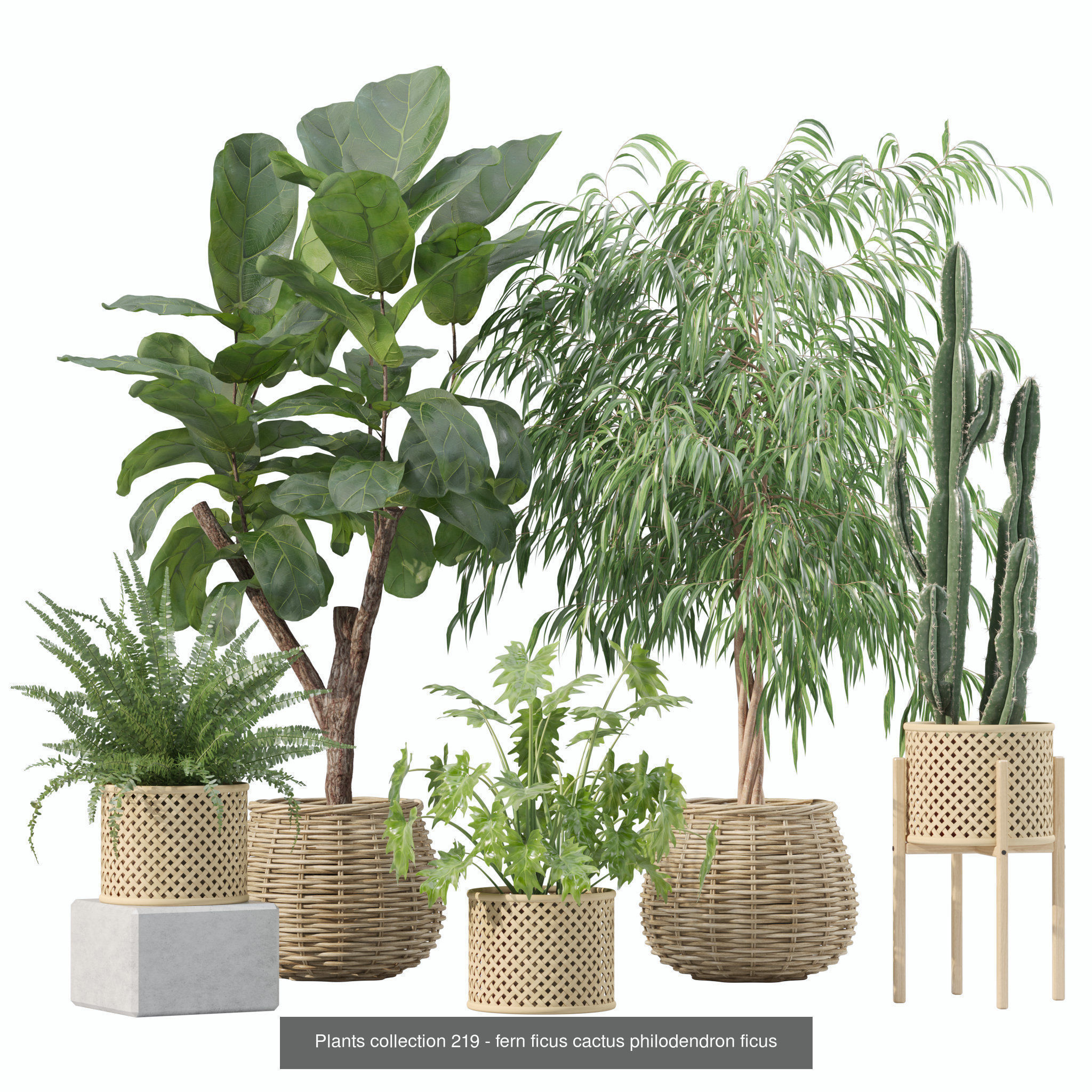 20 Photorealistic Flowers for Interiors - set 205 207 211 219 3D Model Collection_9