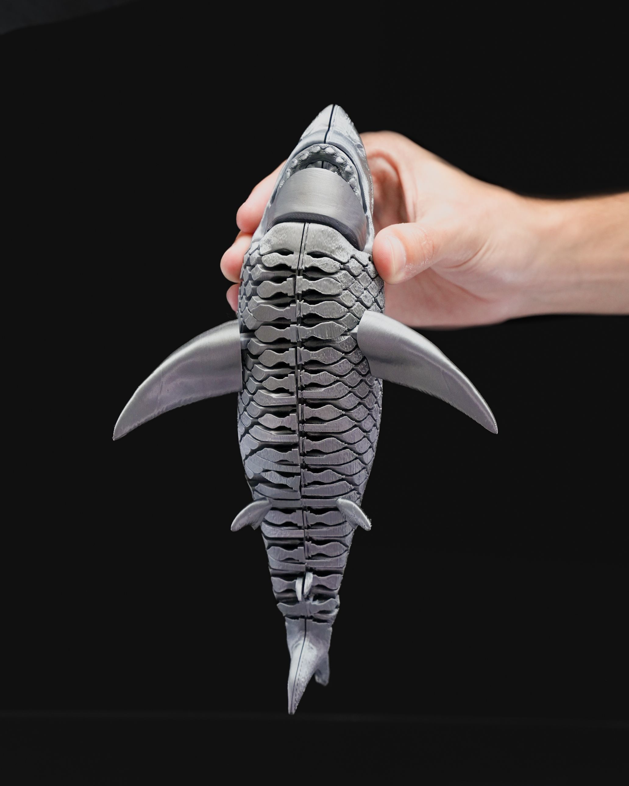 Great White Shark 3D print model_2