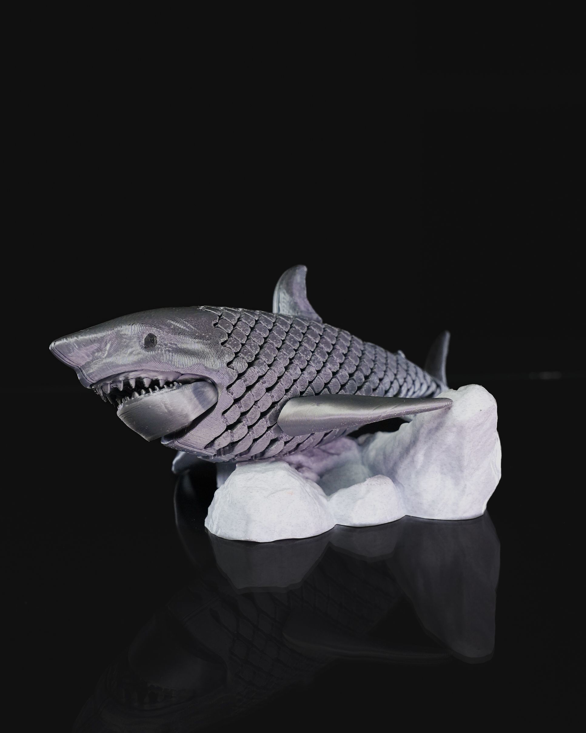 Great White Shark 3D print model_3