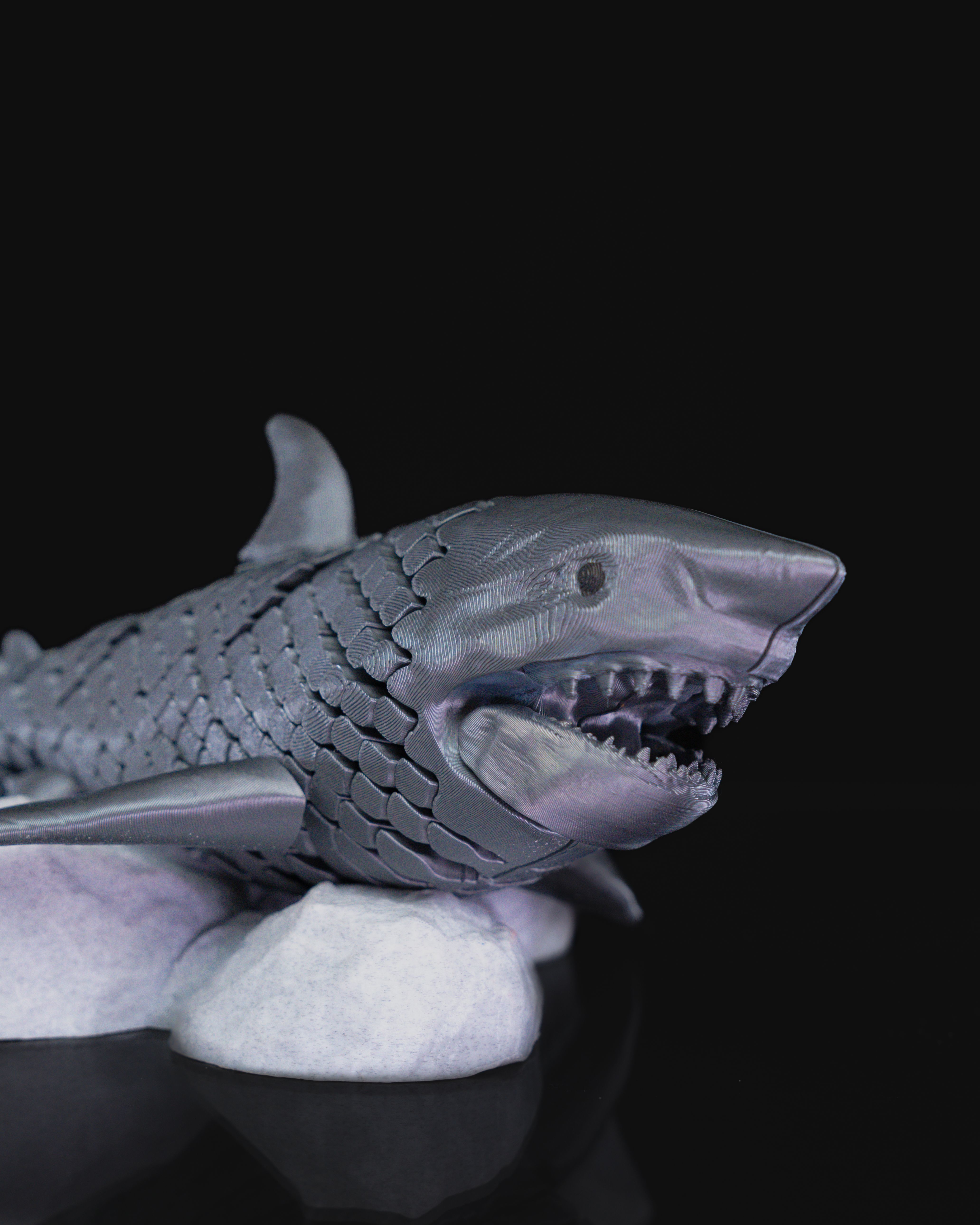 Great White Shark 3D print model_4